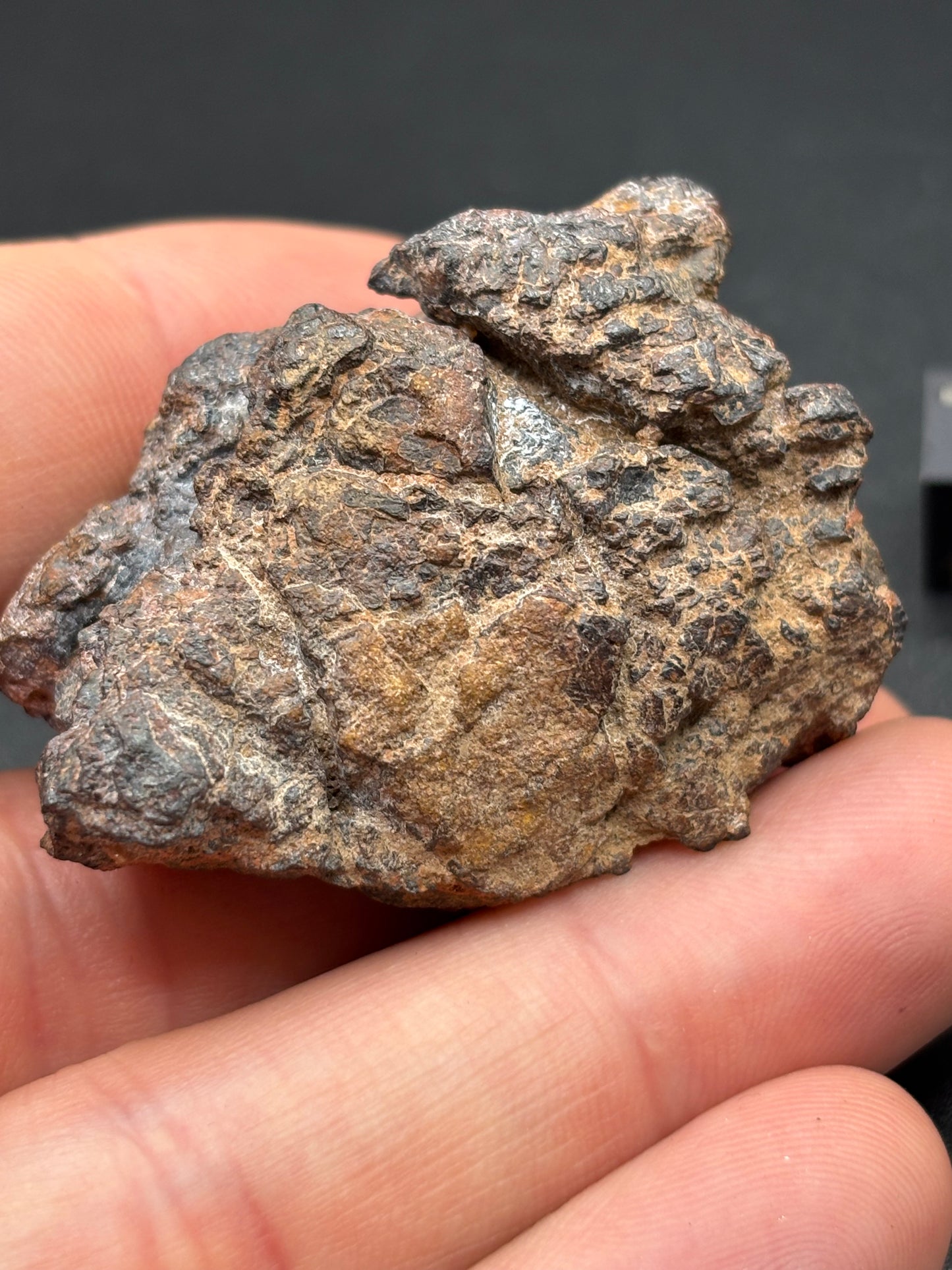 Wolf Creek Iron, IIIAB — Individual (58.3g)