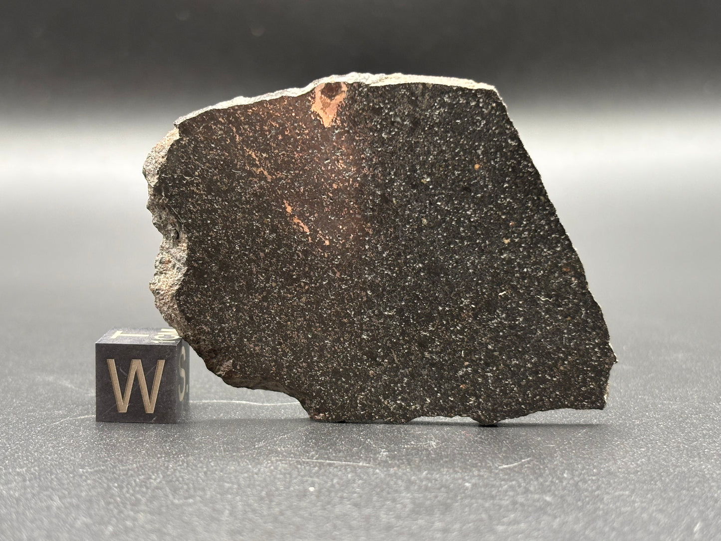 Tassédet 004 Meteorite Fragment 16.6g — Official H5 Melt Breccia Niger "Tchifaddine" Meteorite