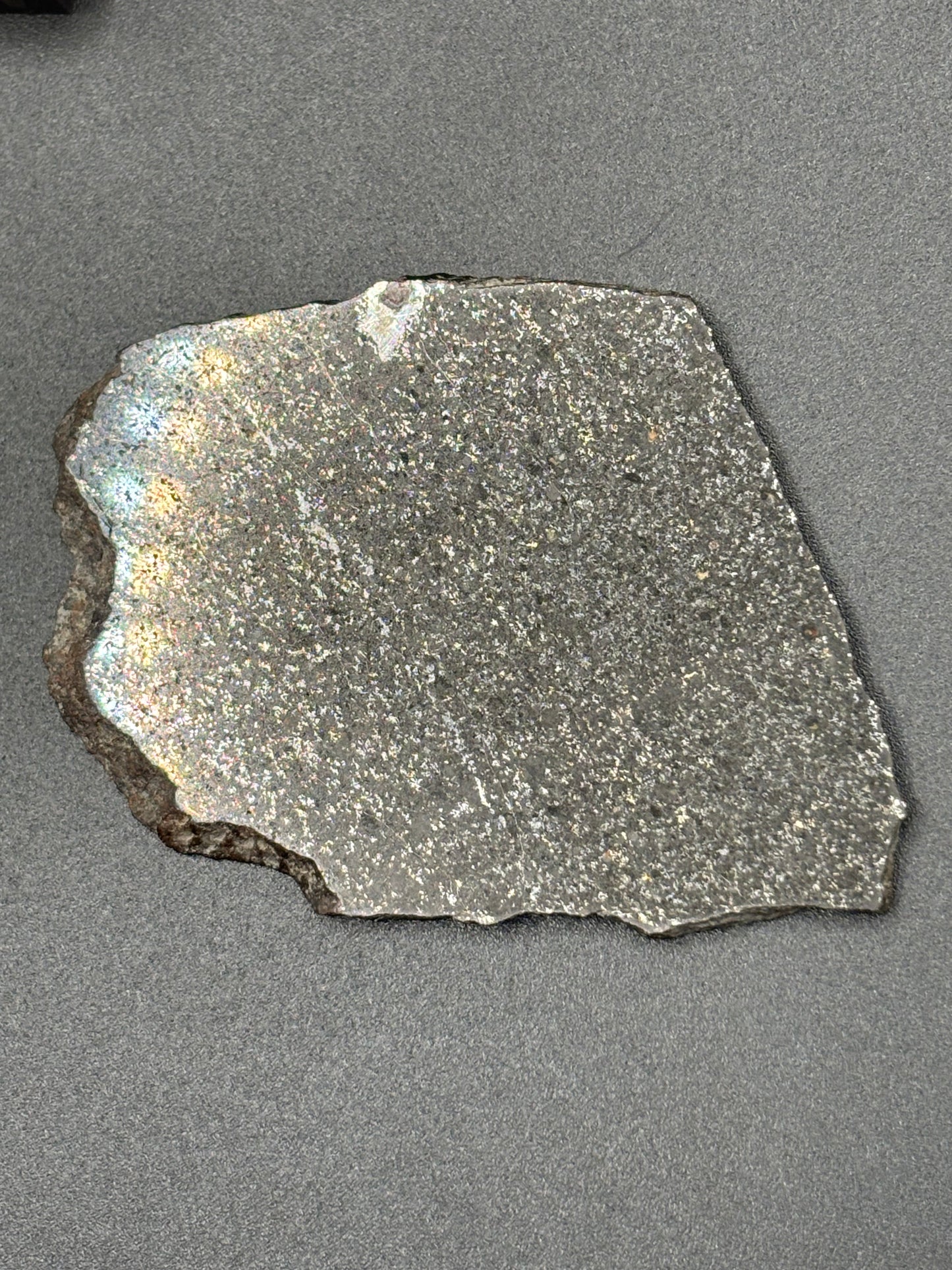 Tassédet 004 Meteorite Fragment 16.6g — Official H5 Melt Breccia Niger "Tchifaddine" Meteorite