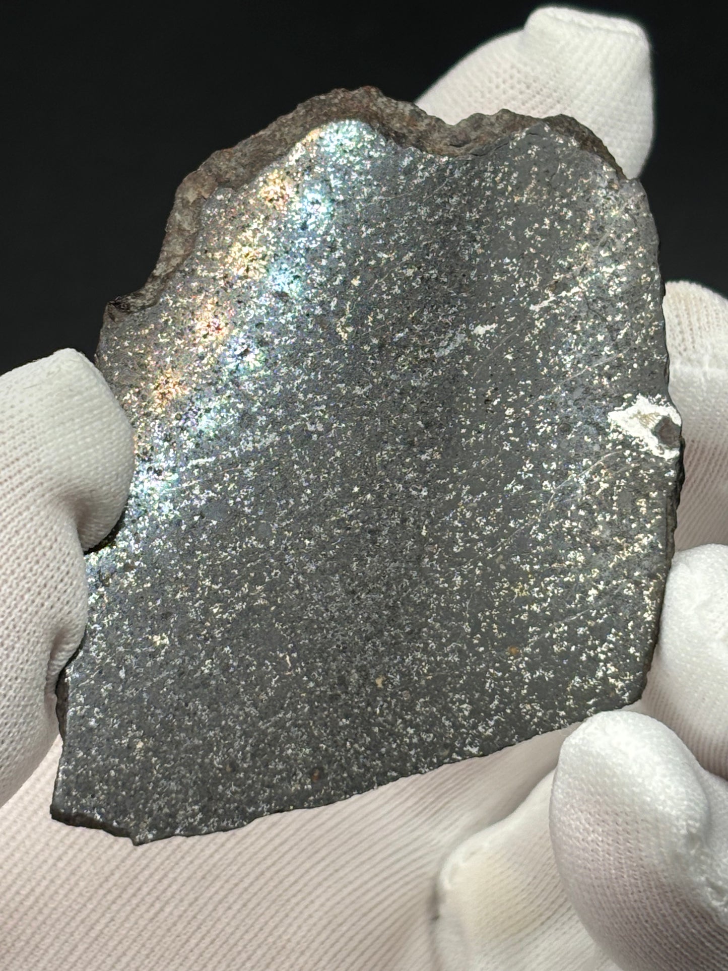 Tassédet 004 Meteorite Fragment 16.6g — Official H5 Melt Breccia Niger "Tchifaddine" Meteorite