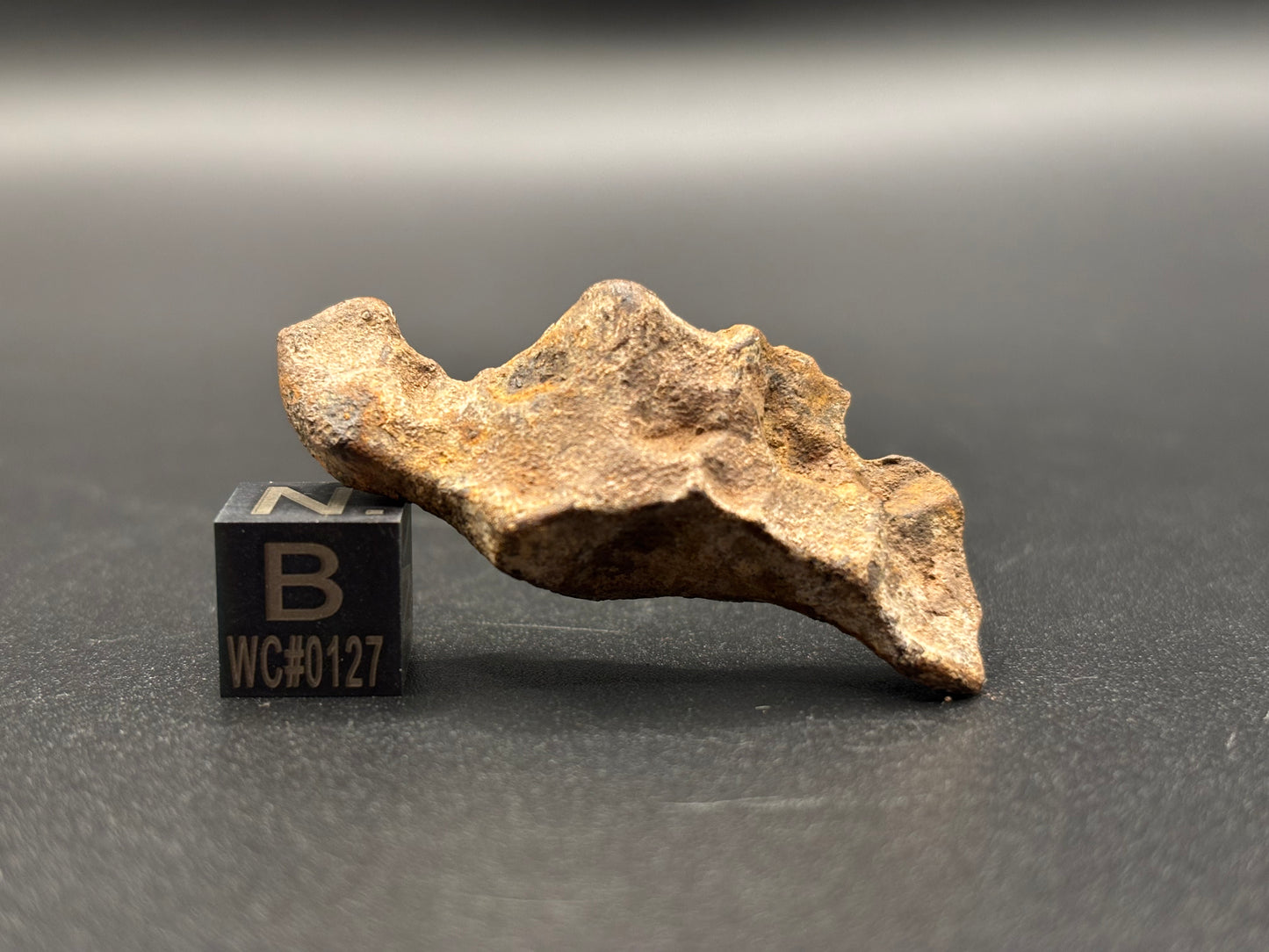 Glorieta Mountain Pallasite Meteorite Specimen Official PMG-an Pallasite New Mexico Meteorite