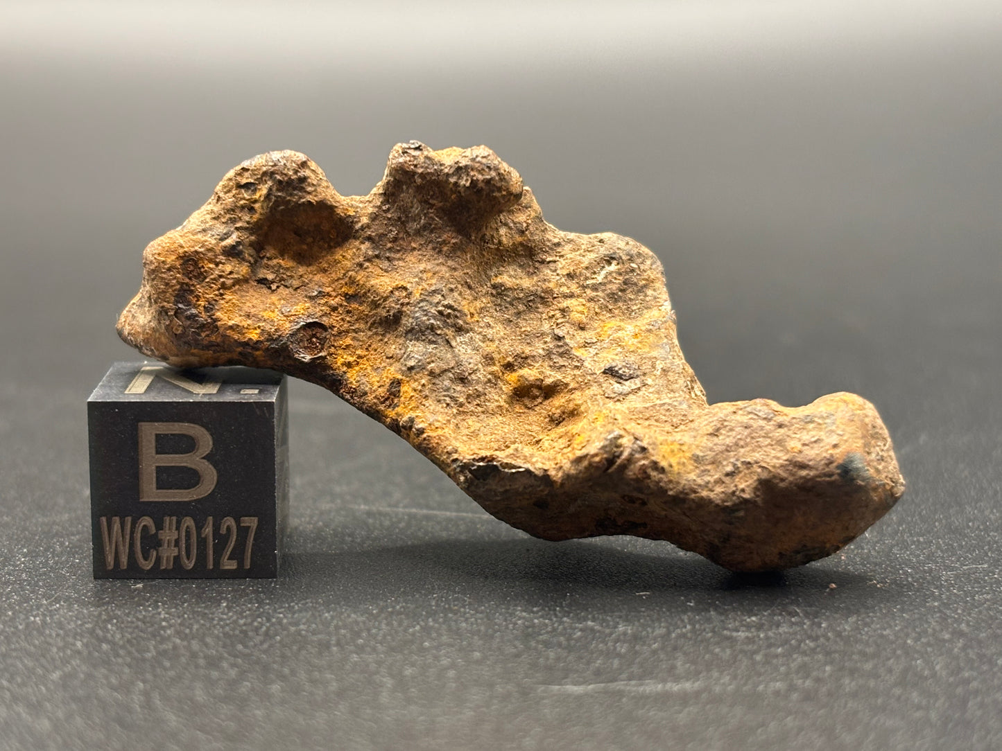 Glorieta Mountain Pallasite Meteorite Specimen Official PMG-an Pallasite New Mexico Meteorite