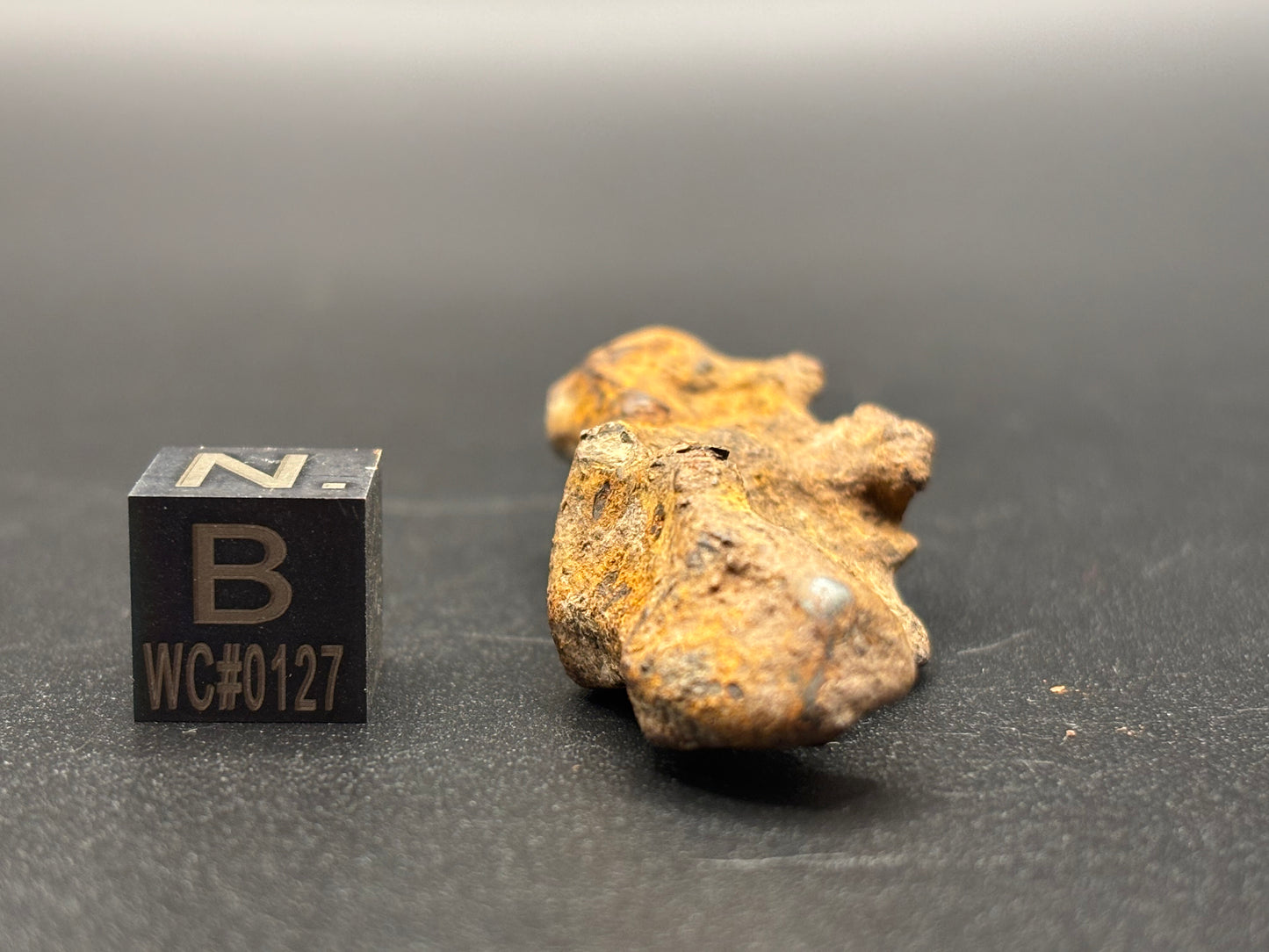 Glorieta Mountain Pallasite Meteorite Specimen Official PMG-an Pallasite New Mexico Meteorite