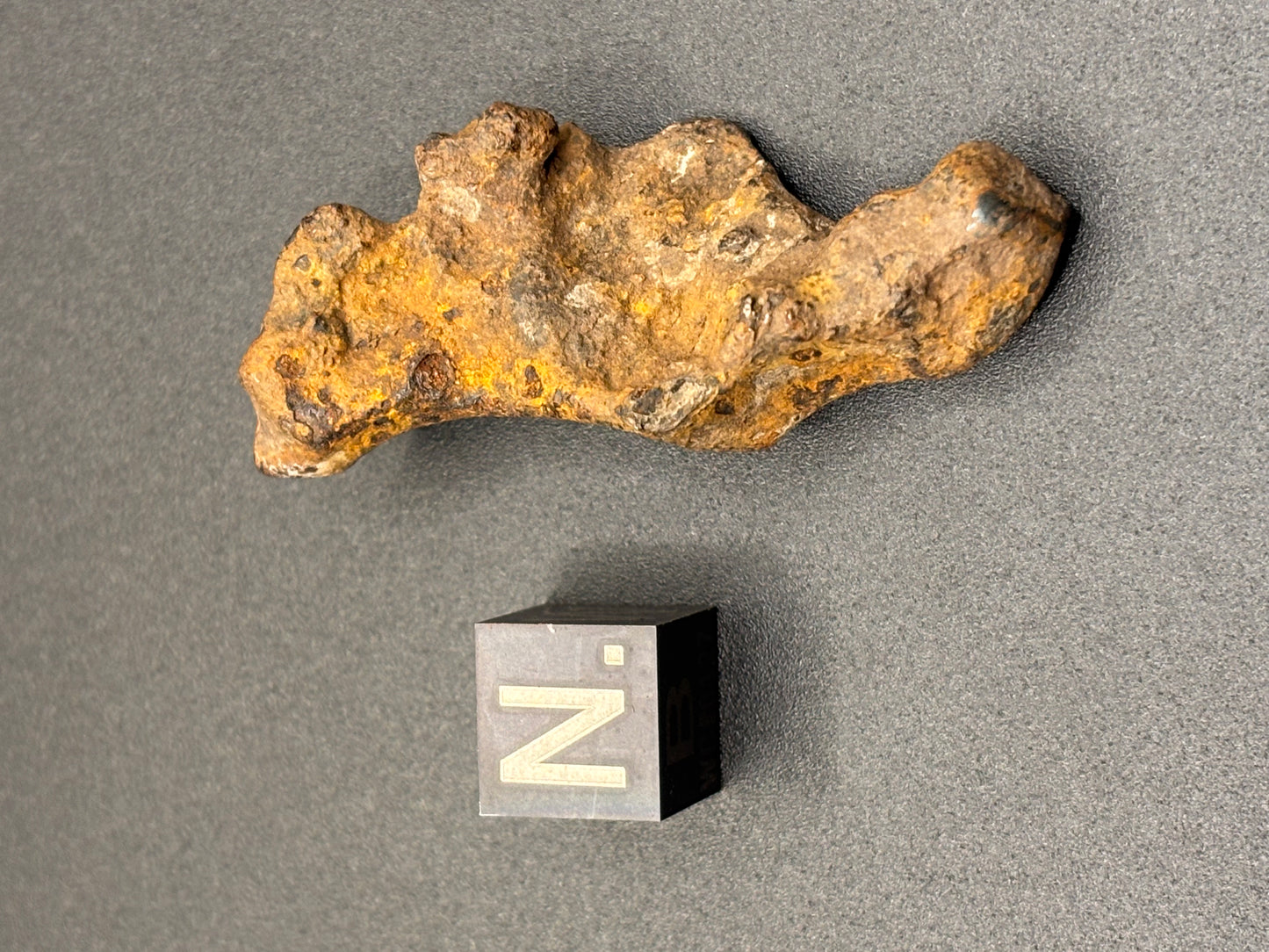 Glorieta Mountain Pallasite Meteorite Specimen Official PMG-an Pallasite New Mexico Meteorite