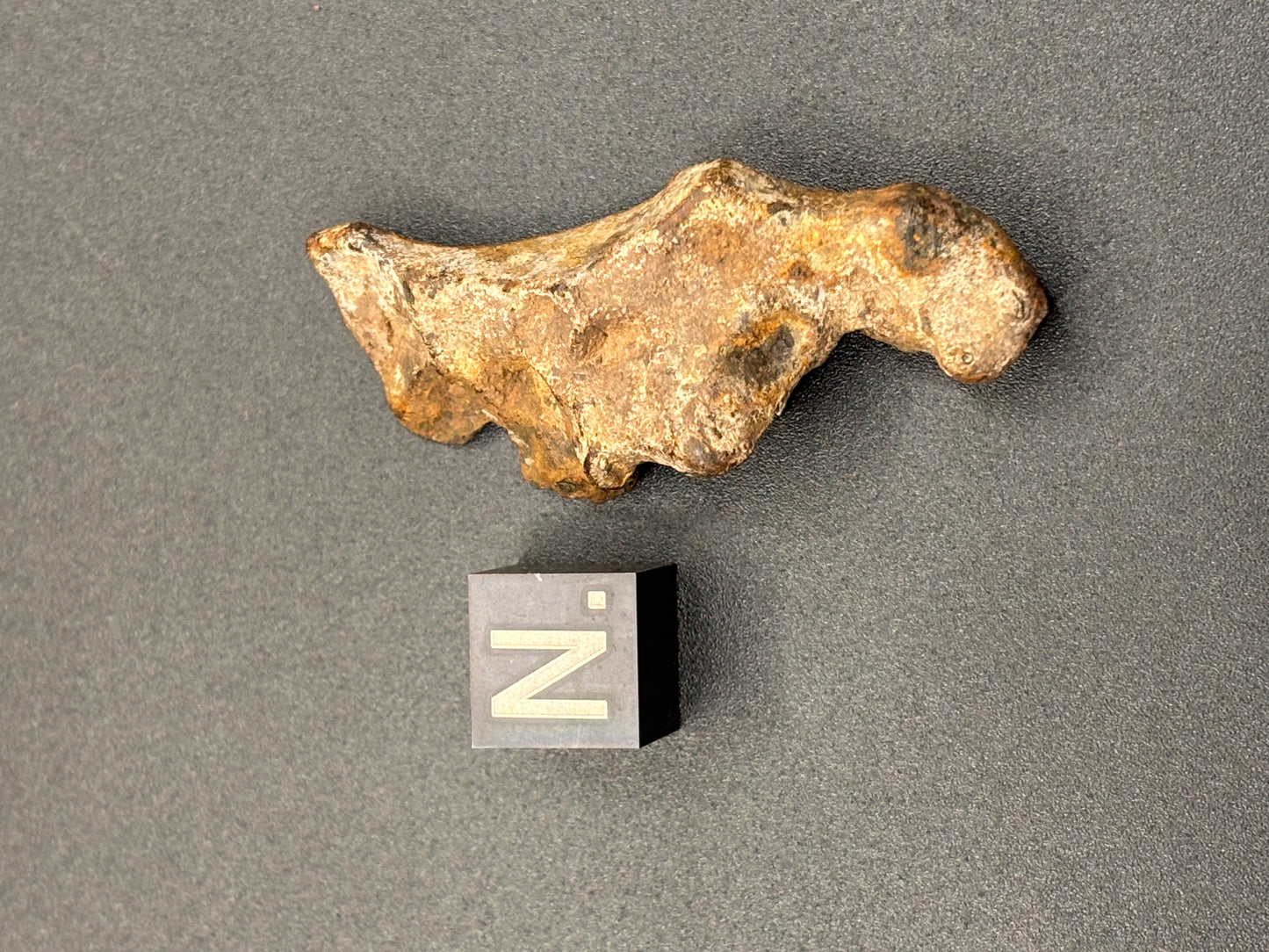 Glorieta Mountain Pallasite Meteorite Specimen Official PMG-an Pallasite New Mexico Meteorite