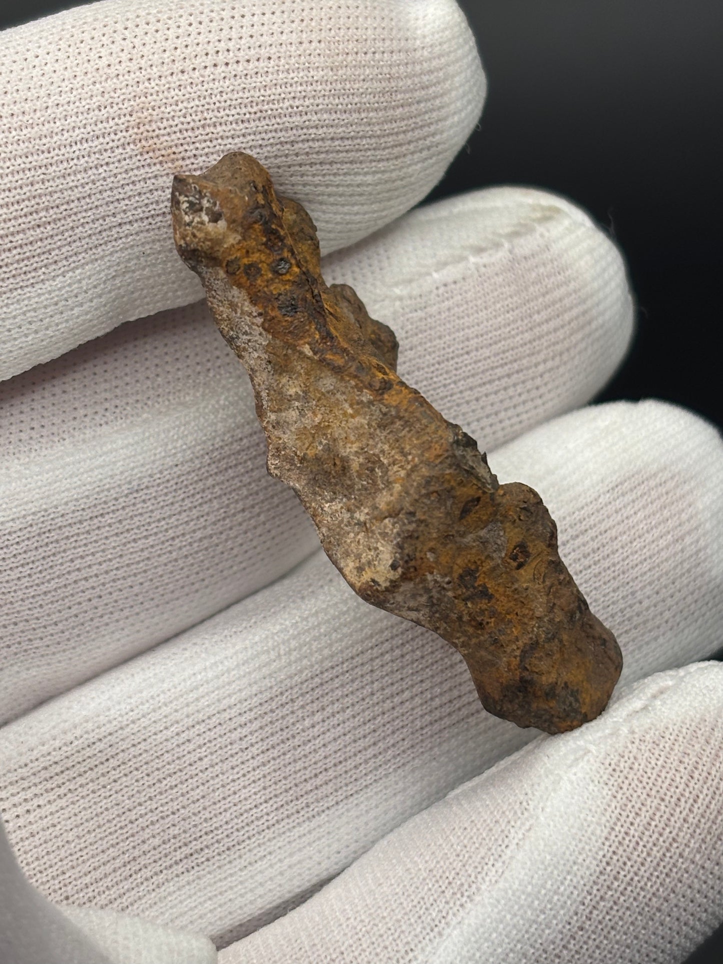 Glorieta Mountain Pallasite Meteorite Specimen Official PMG-an Pallasite New Mexico Meteorite