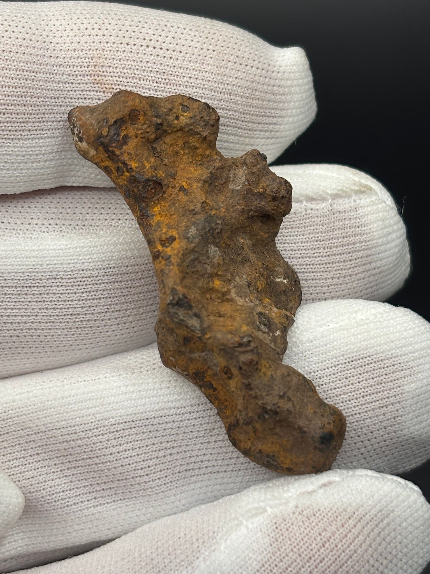 Glorieta Mountain Pallasite Meteorite Specimen Official PMG-an Pallasite New Mexico Meteorite