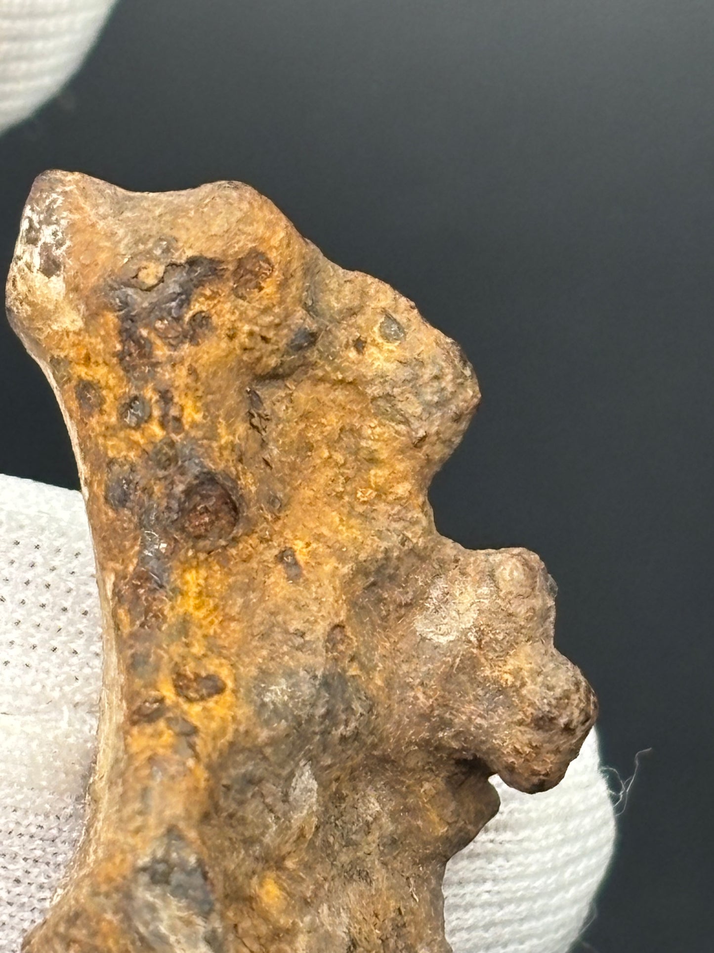 Glorieta Mountain Pallasite Meteorite Specimen Official PMG-an Pallasite New Mexico Meteorite