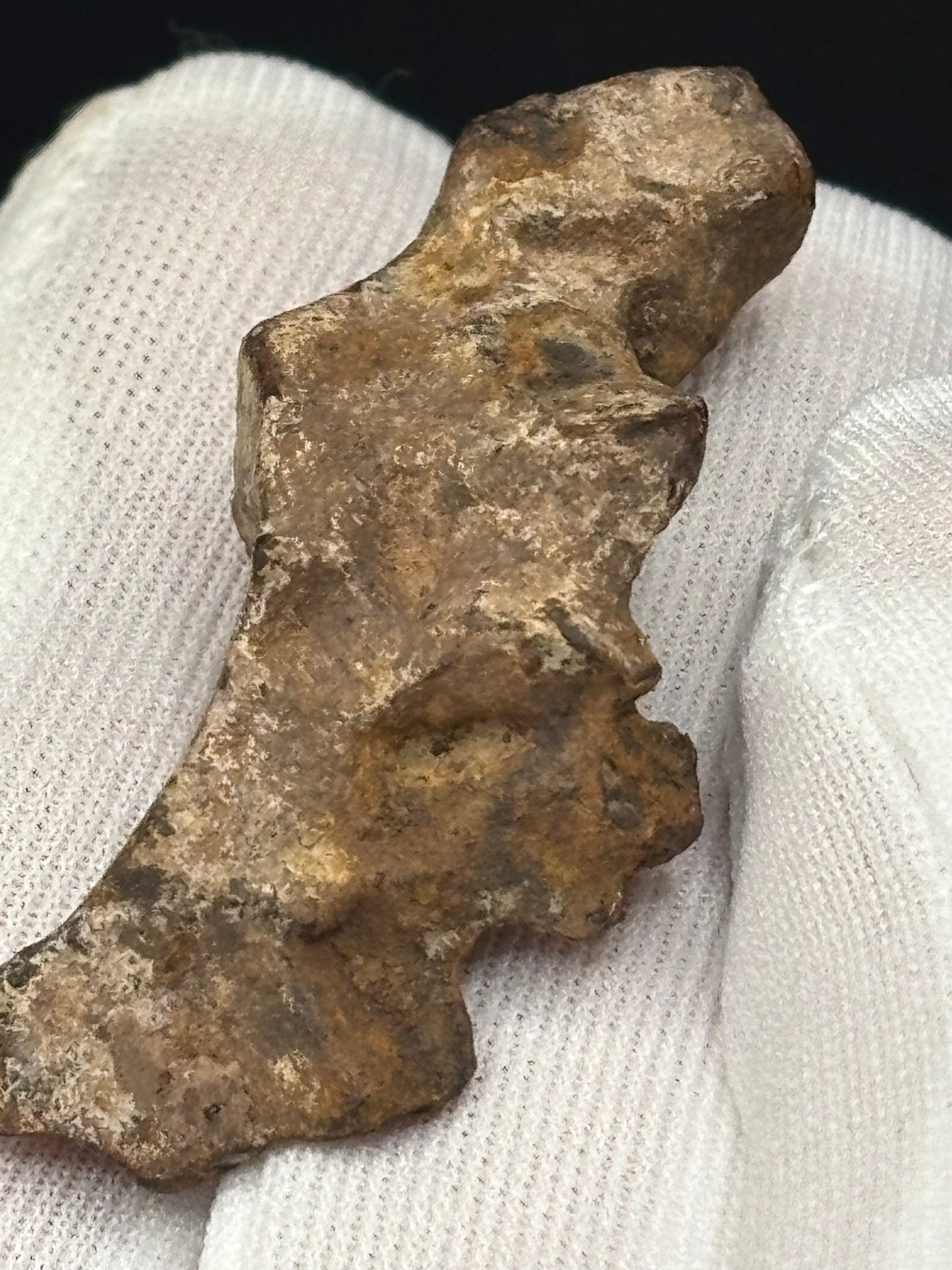 Glorieta Mountain Pallasite Meteorite Specimen Official PMG-an Pallasite New Mexico Meteorite