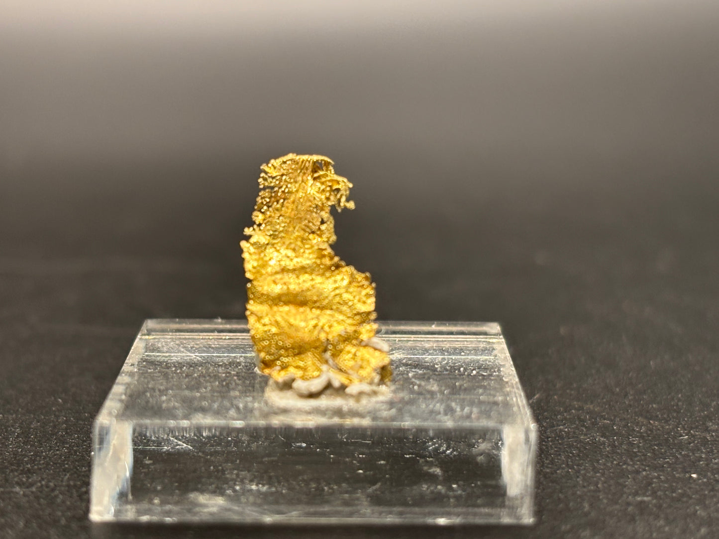 Leaf Crystalline Gold Specimen Rosia Montana Alba County Romania Native Gold Mineral