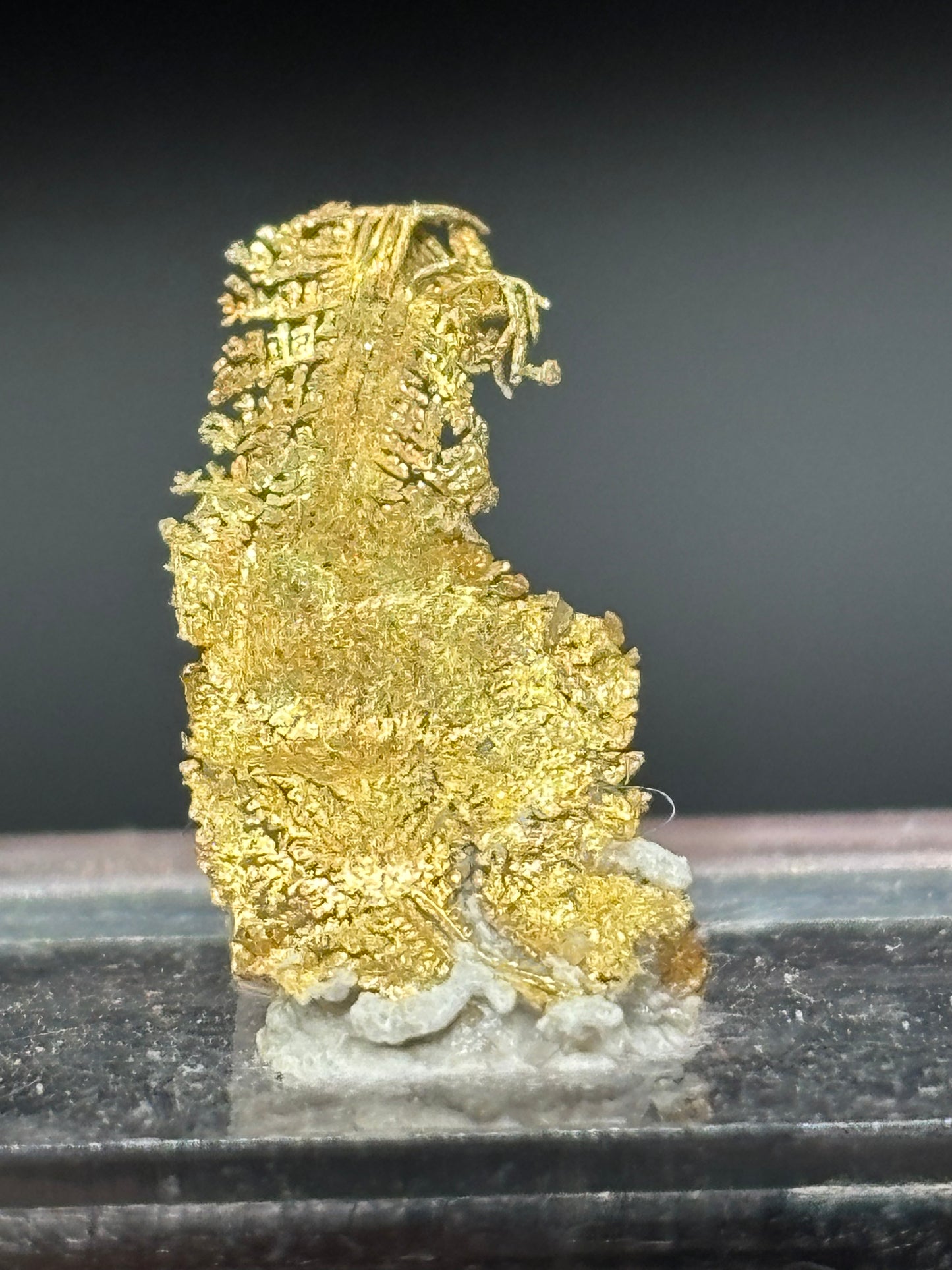 Leaf Crystalline Gold Specimen Rosia Montana Alba County Romania Native Gold Mineral