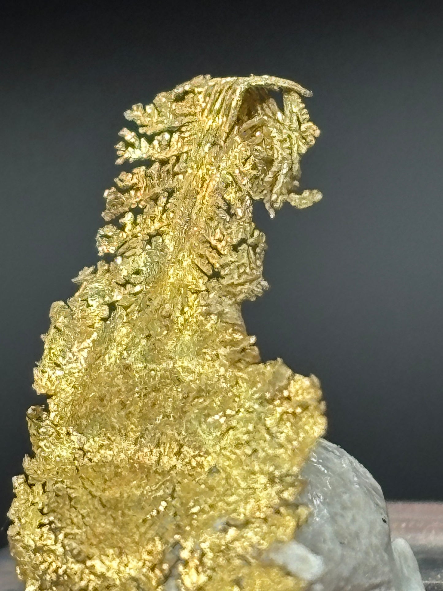 Leaf Crystalline Gold Specimen Rosia Montana Alba County Romania Native Gold Mineral