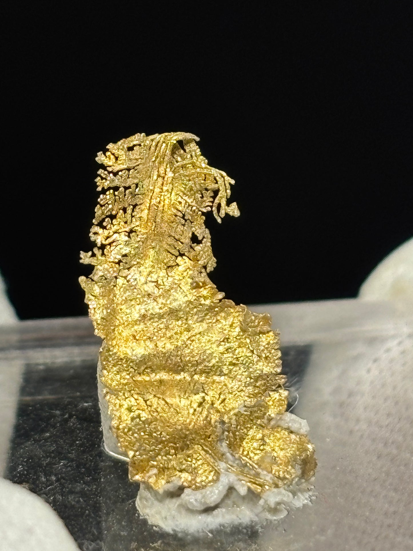 Leaf Crystalline Gold Specimen Rosia Montana Alba County Romania Native Gold Mineral