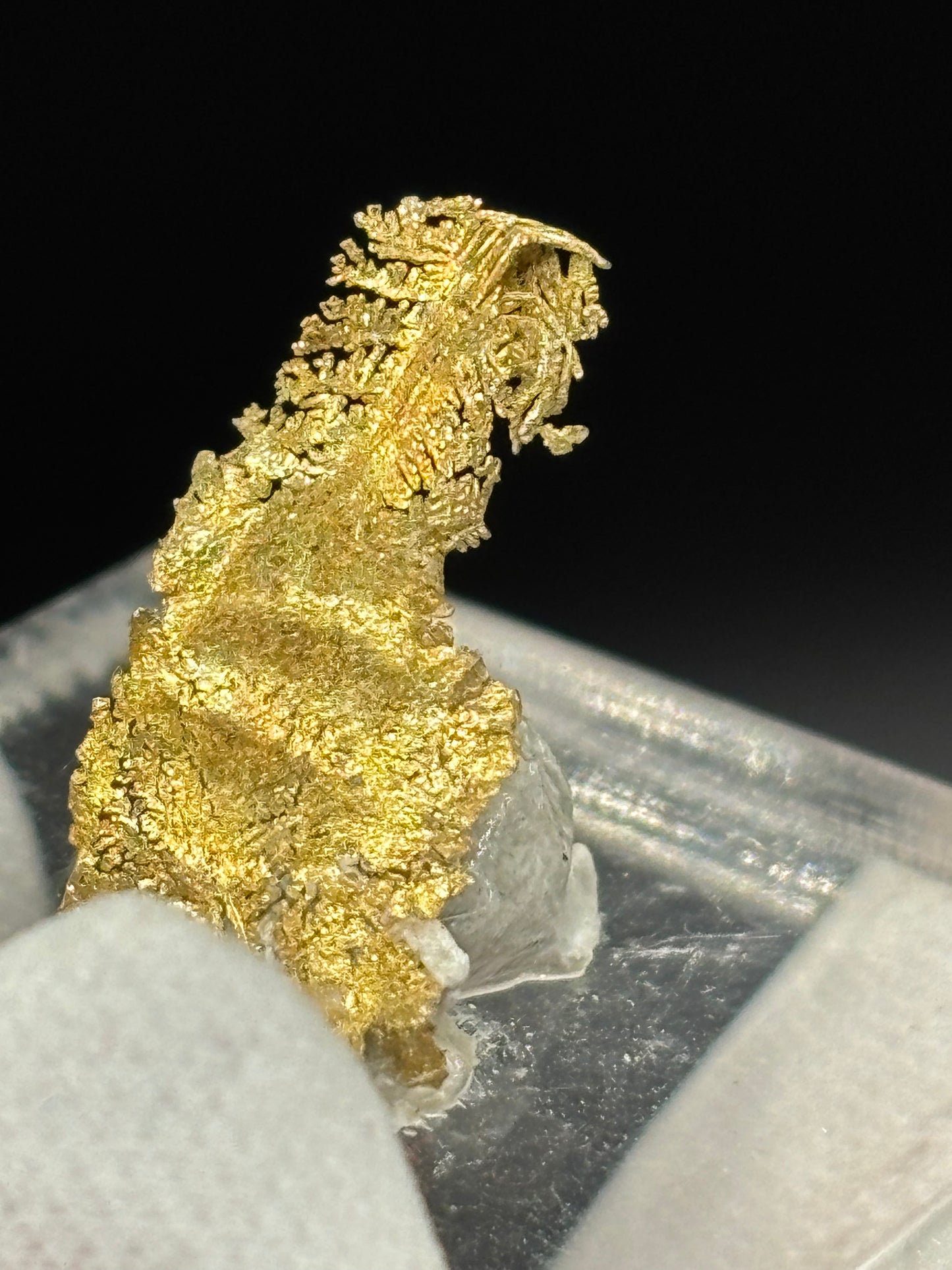 Leaf Crystalline Gold Specimen Rosia Montana Alba County Romania Native Gold Mineral