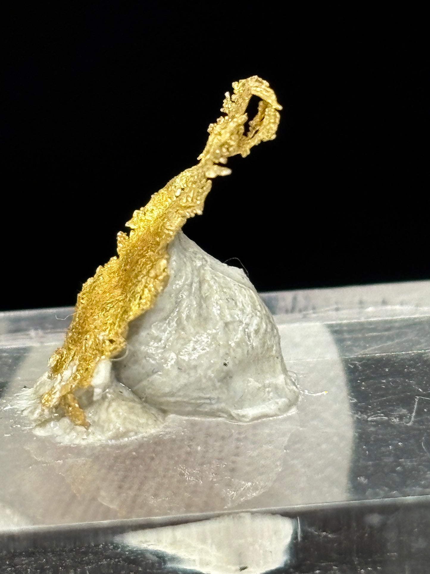 Leaf Crystalline Gold Specimen Rosia Montana Alba County Romania Native Gold Mineral