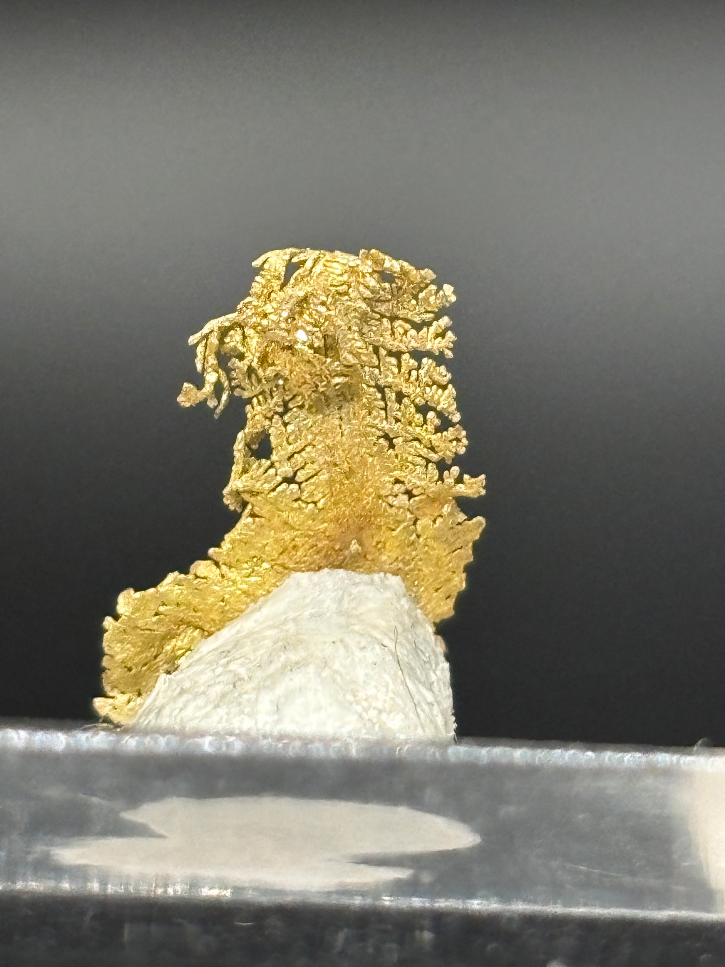 Leaf Crystalline Gold Specimen Rosia Montana Alba County Romania Native Gold Mineral