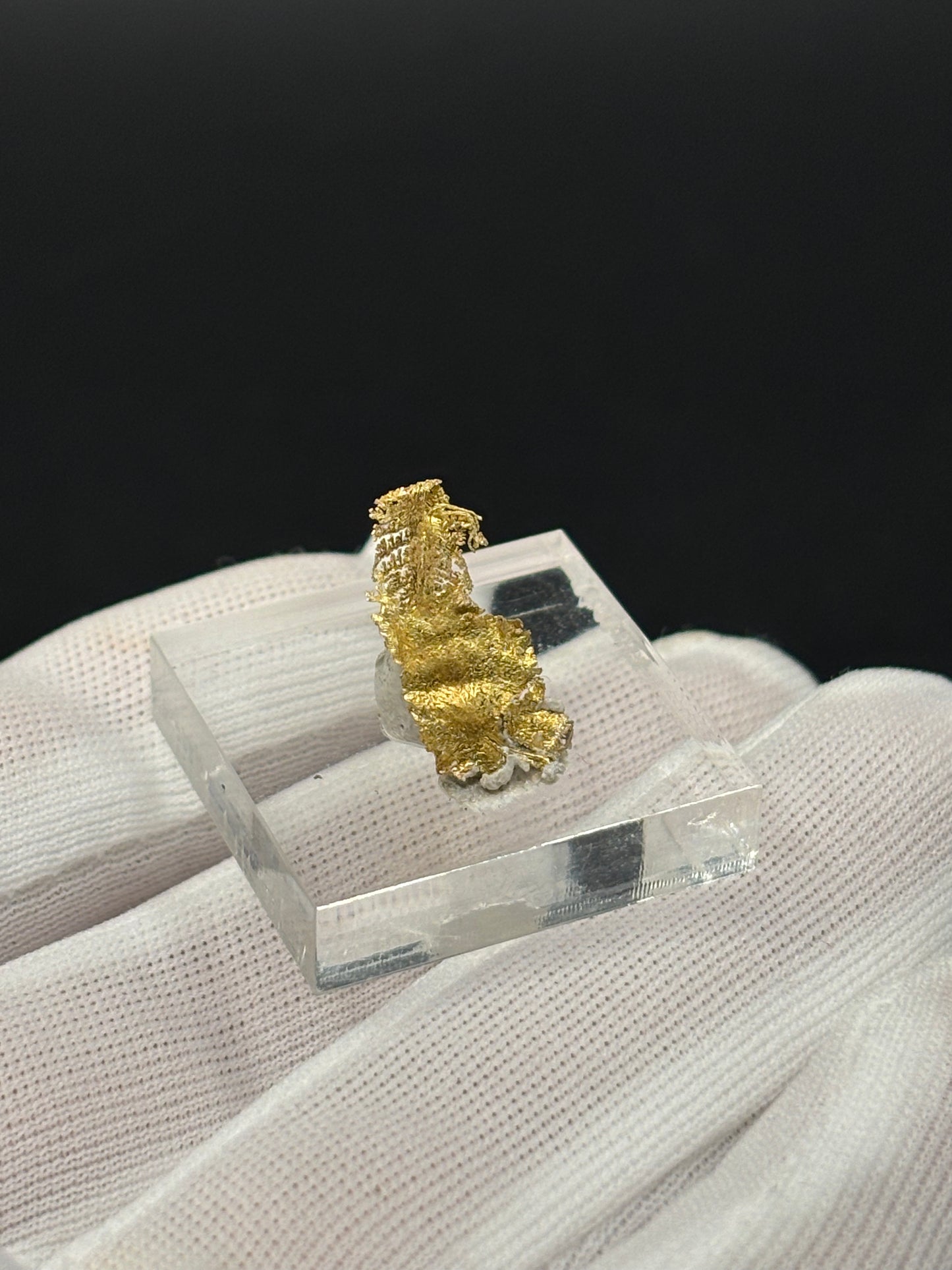Leaf Crystalline Gold Specimen Rosia Montana Alba County Romania Native Gold Mineral