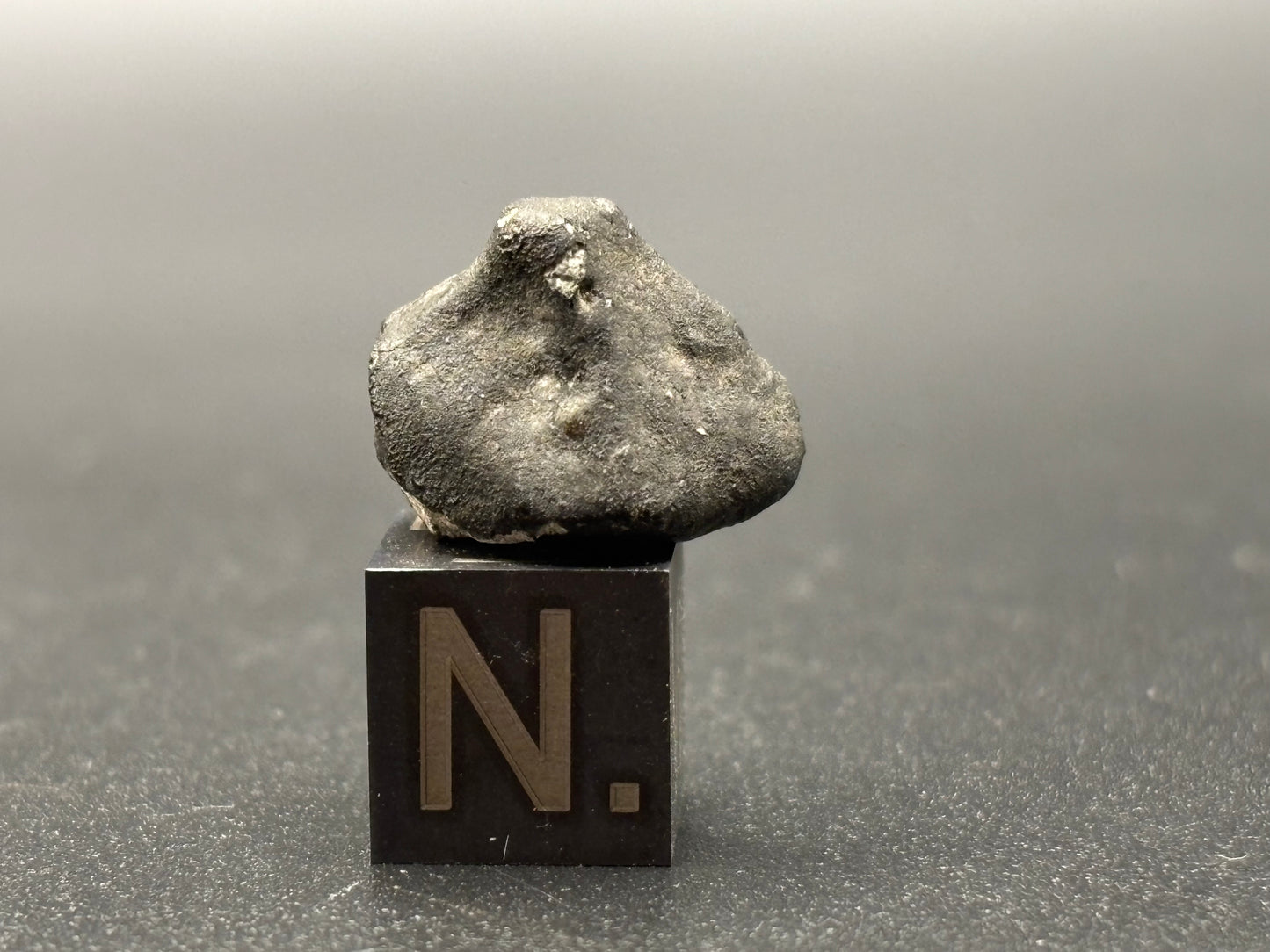 Holbrook Meteorite Specimen Historic 1912 Arizona Observed Fall Official L/LL6 Chondrite