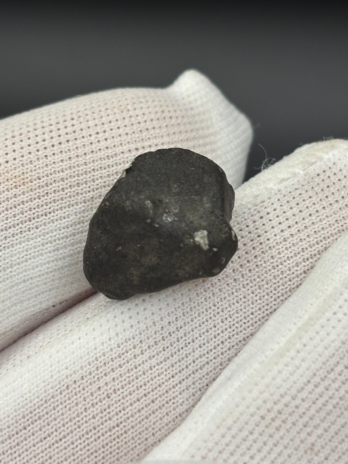 Holbrook Meteorite Specimen Historic 1912 Arizona Observed Fall Official L/LL6 Chondrite