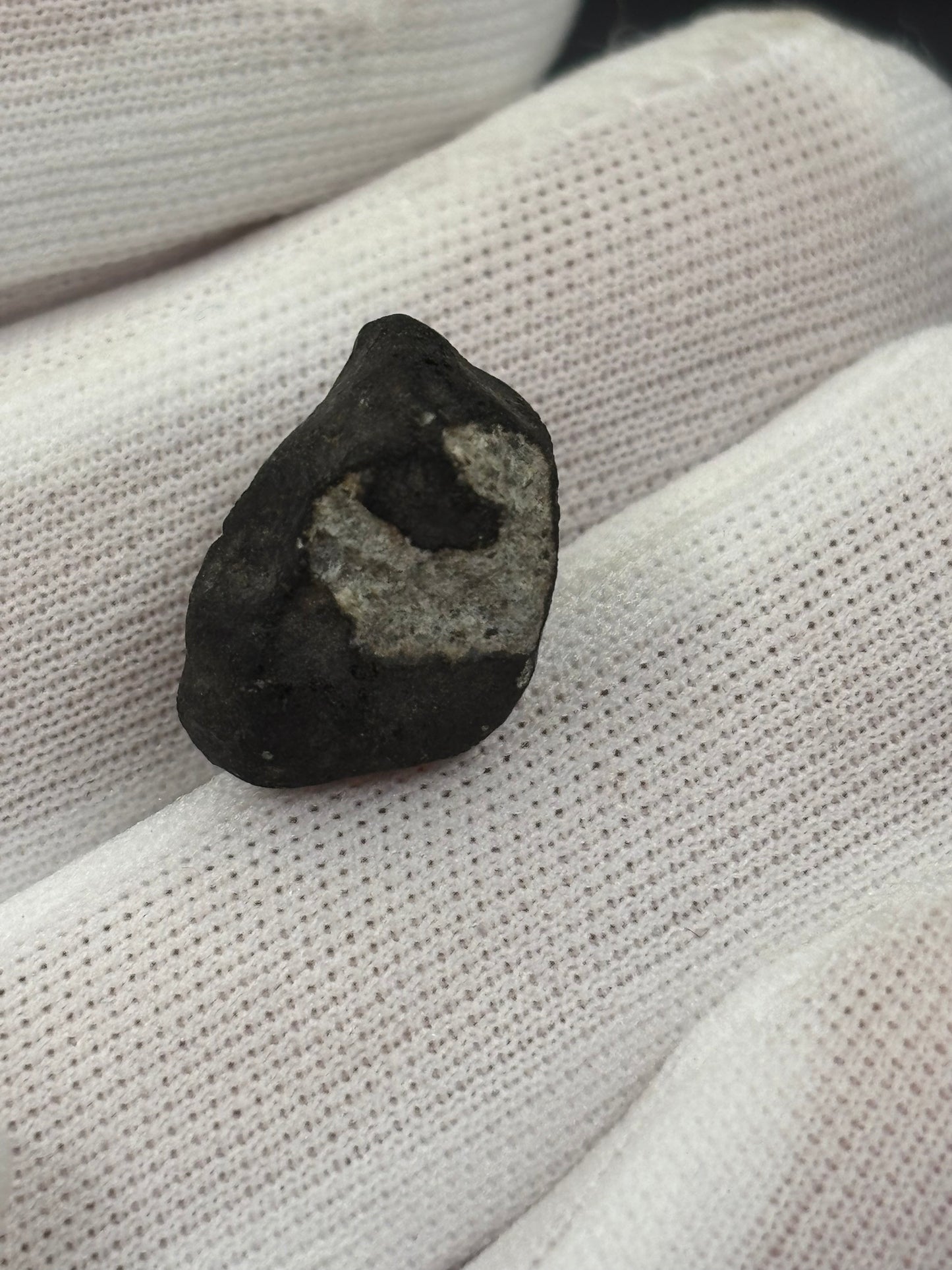 Holbrook Meteorite Specimen Historic 1912 Arizona Observed Fall Official L/LL6 Chondrite