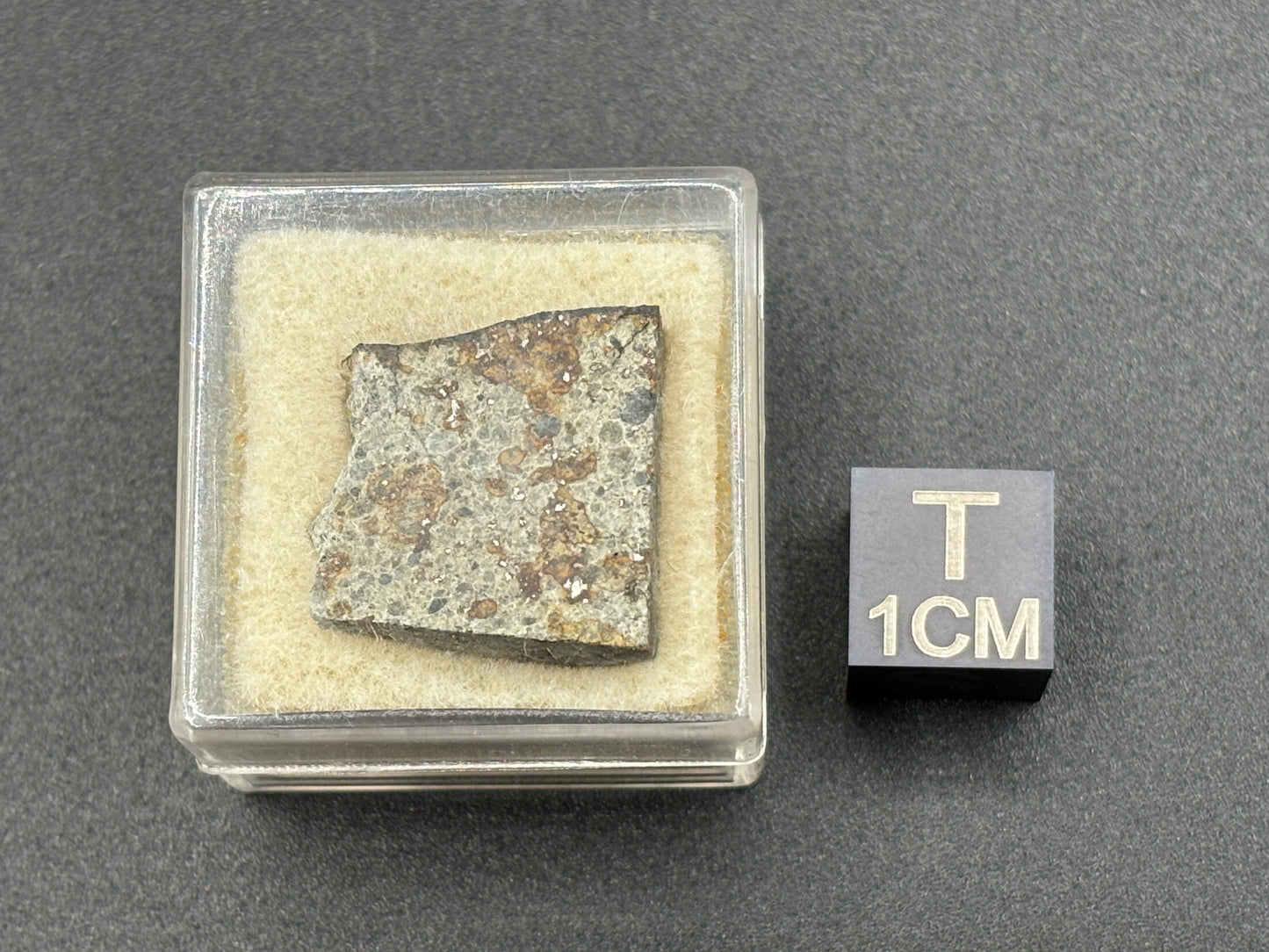 Holbrook Meteorite Slice Historic 1912 Arizona Observed Fall Official L/LL6 Chondrite