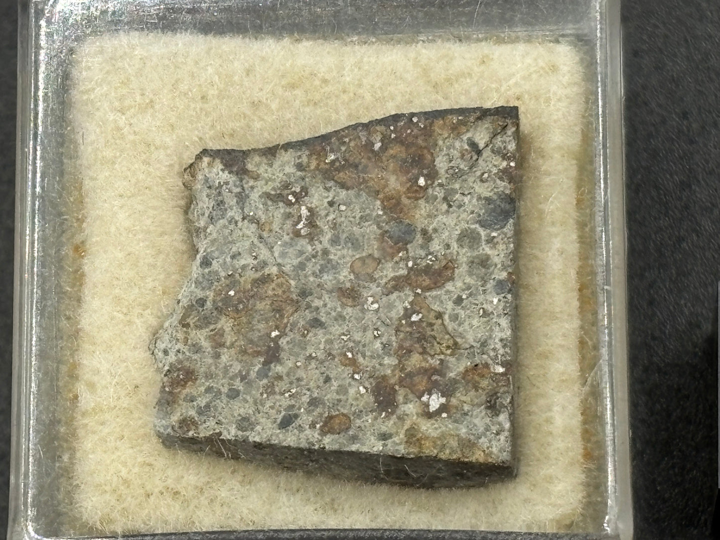Holbrook Meteorite Slice Historic 1912 Arizona Observed Fall Official L/LL6 Chondrite