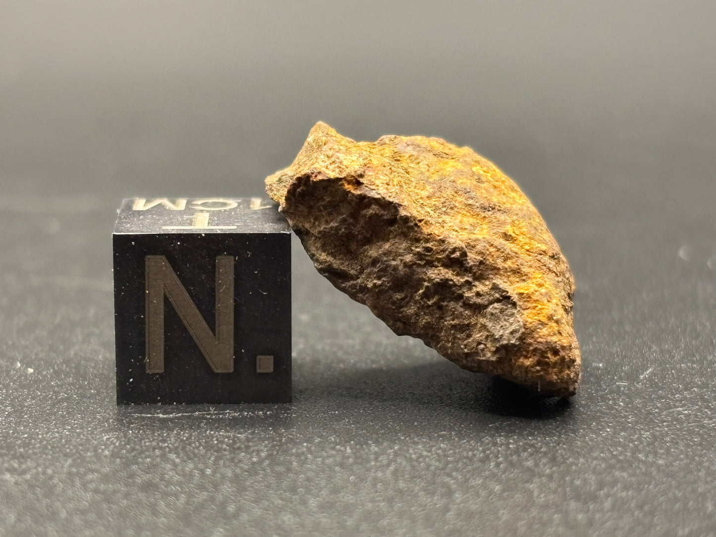 Wagon Mound Meteorite Specimen Official L6 Chondrite New Mexico Meteorite Found 1932