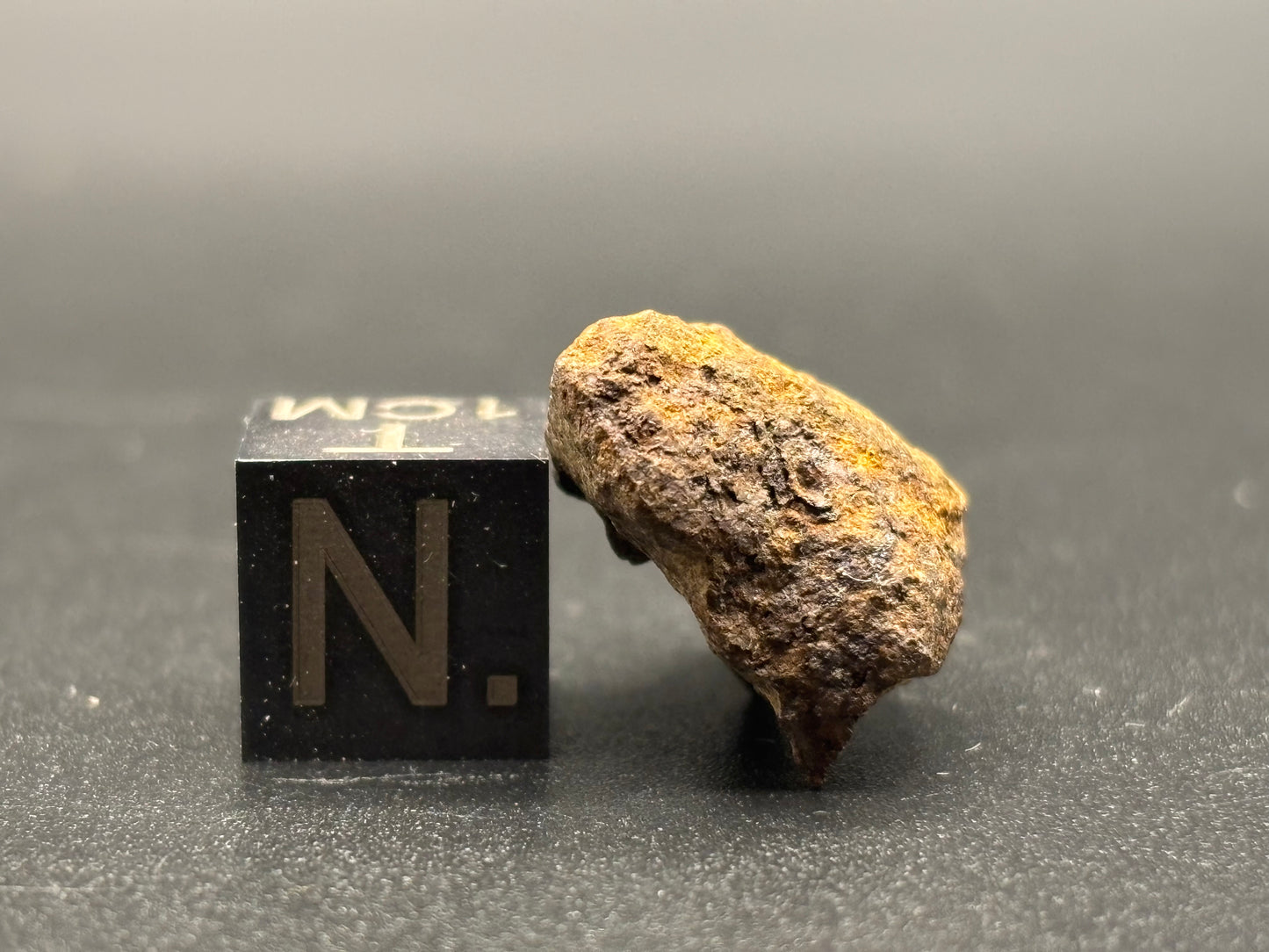 Wagon Mound Meteorite Specimen Official L6 Chondrite New Mexico Meteorite Found 1932