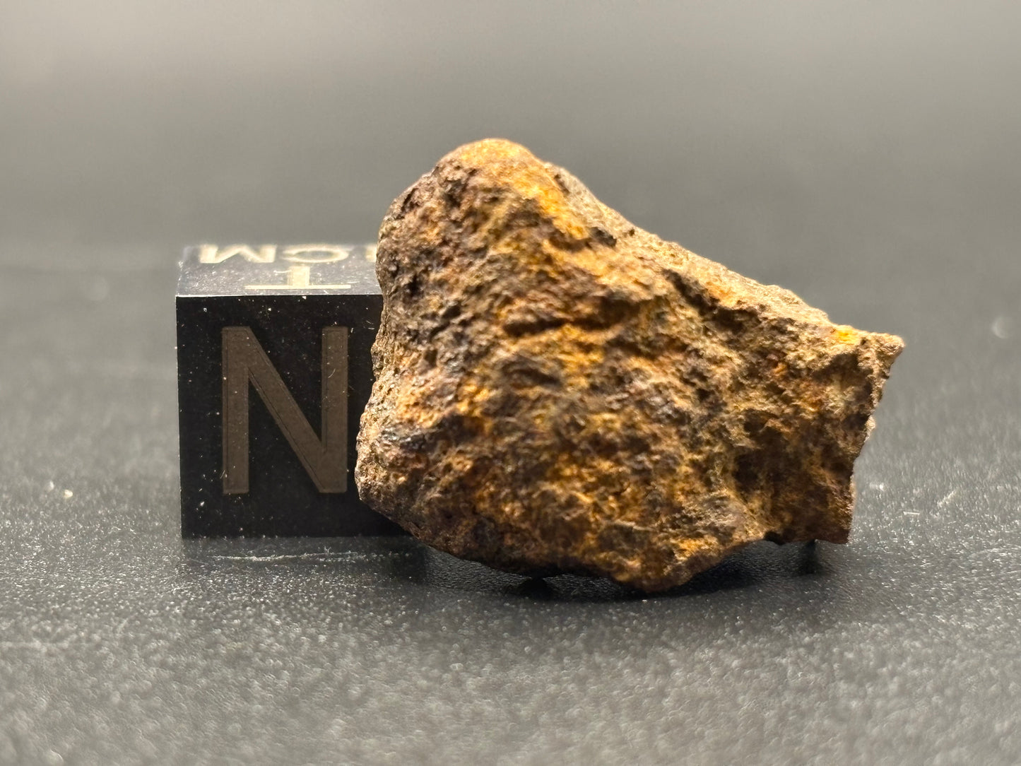 Wagon Mound Meteorite Specimen Official L6 Chondrite New Mexico Meteorite Found 1932