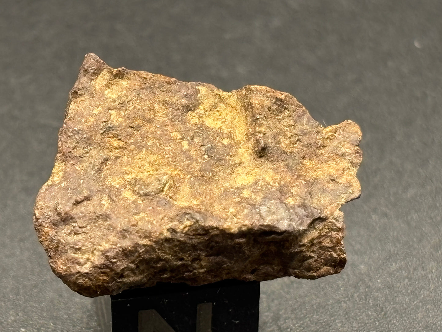 Wagon Mound Meteorite Specimen Official L6 Chondrite New Mexico Meteorite Found 1932