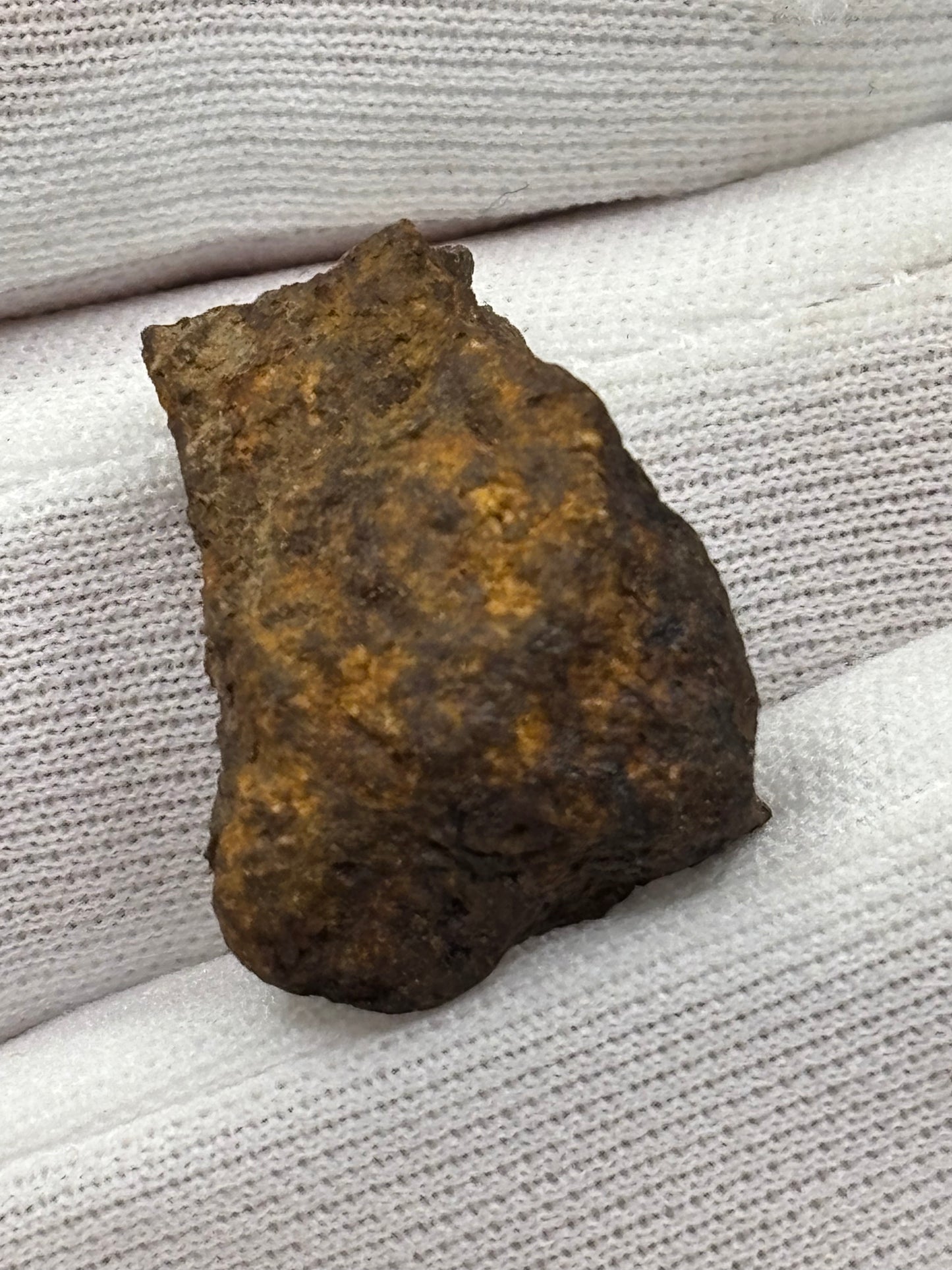 Wagon Mound Meteorite Specimen Official L6 Chondrite New Mexico Meteorite Found 1932