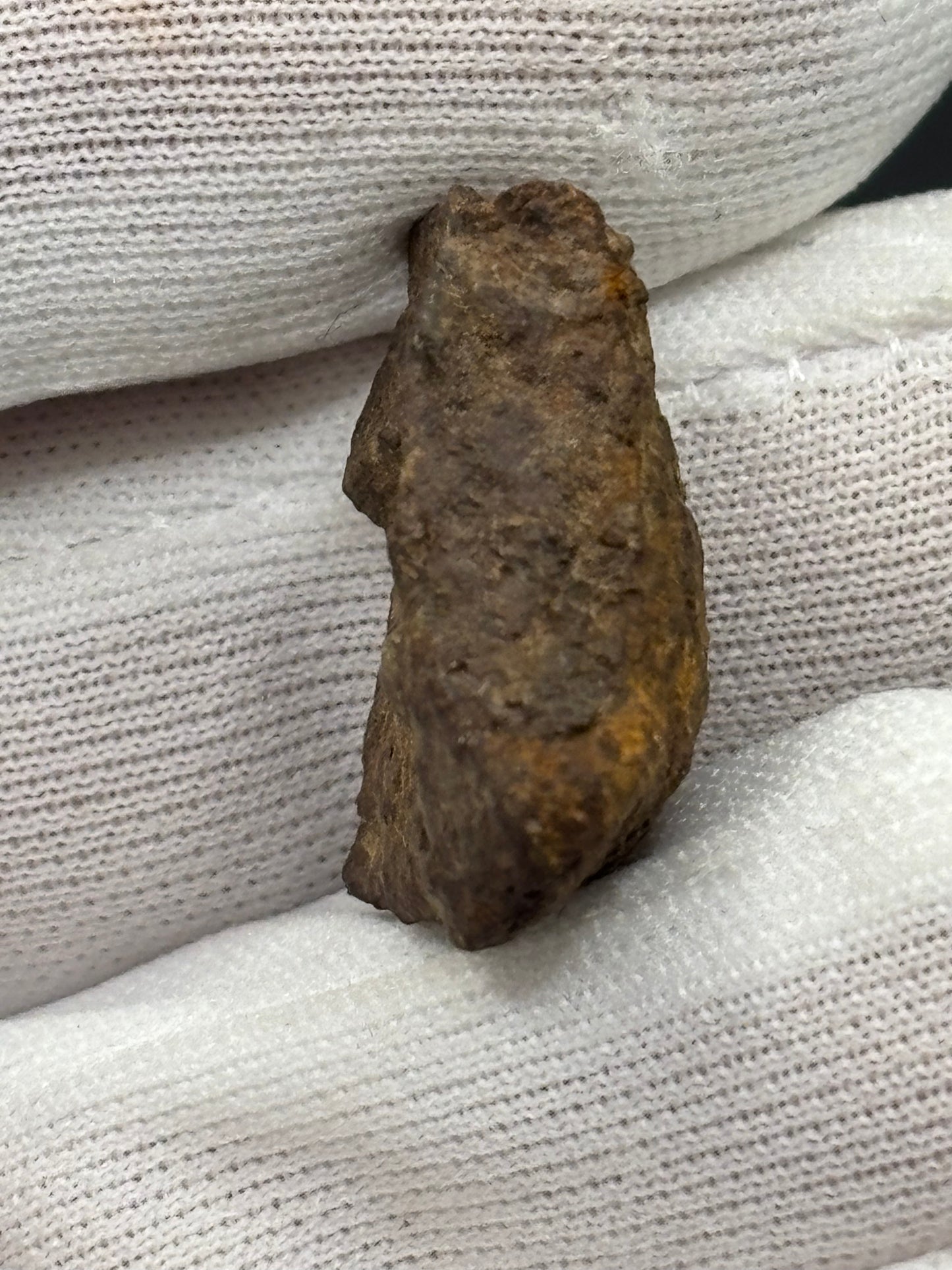 Wagon Mound Meteorite Specimen Official L6 Chondrite New Mexico Meteorite Found 1932