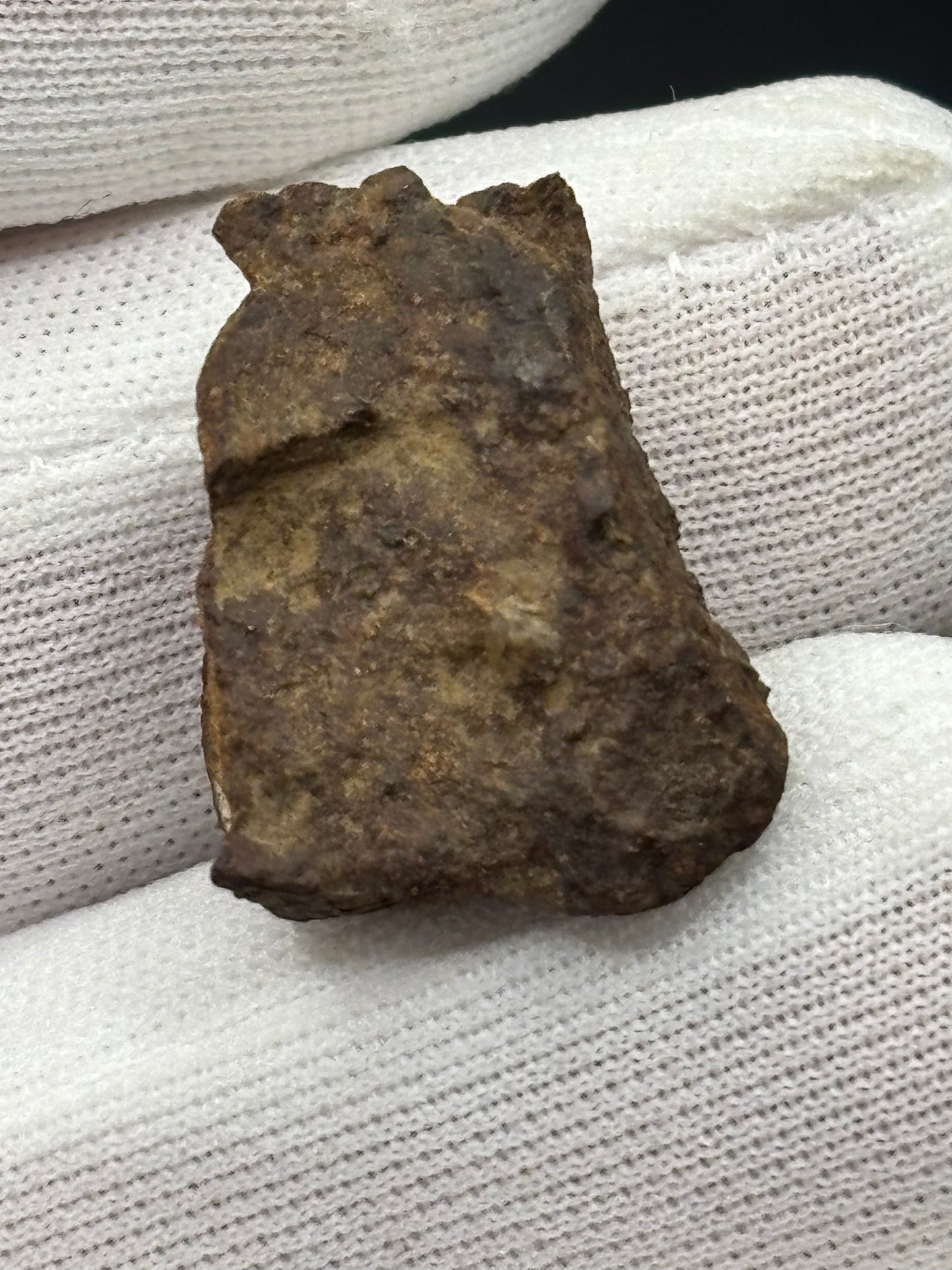 Wagon Mound Meteorite Specimen Official L6 Chondrite New Mexico Meteorite Found 1932