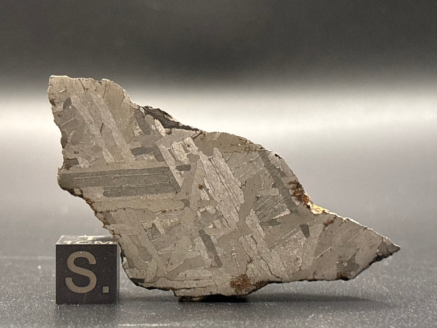 Toluca Iron Meteorite Specimen Historic IAB-sLL Iron Meteorite Mexico Found 1776
