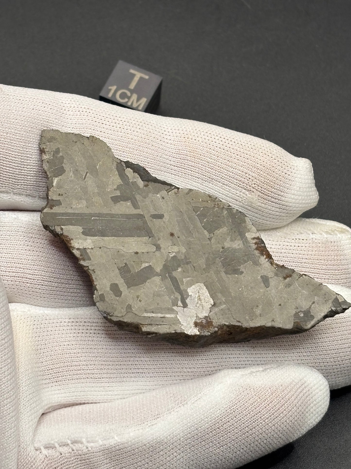 Toluca Iron Meteorite Specimen Historic IAB-sLL Iron Meteorite Mexico Found 1776