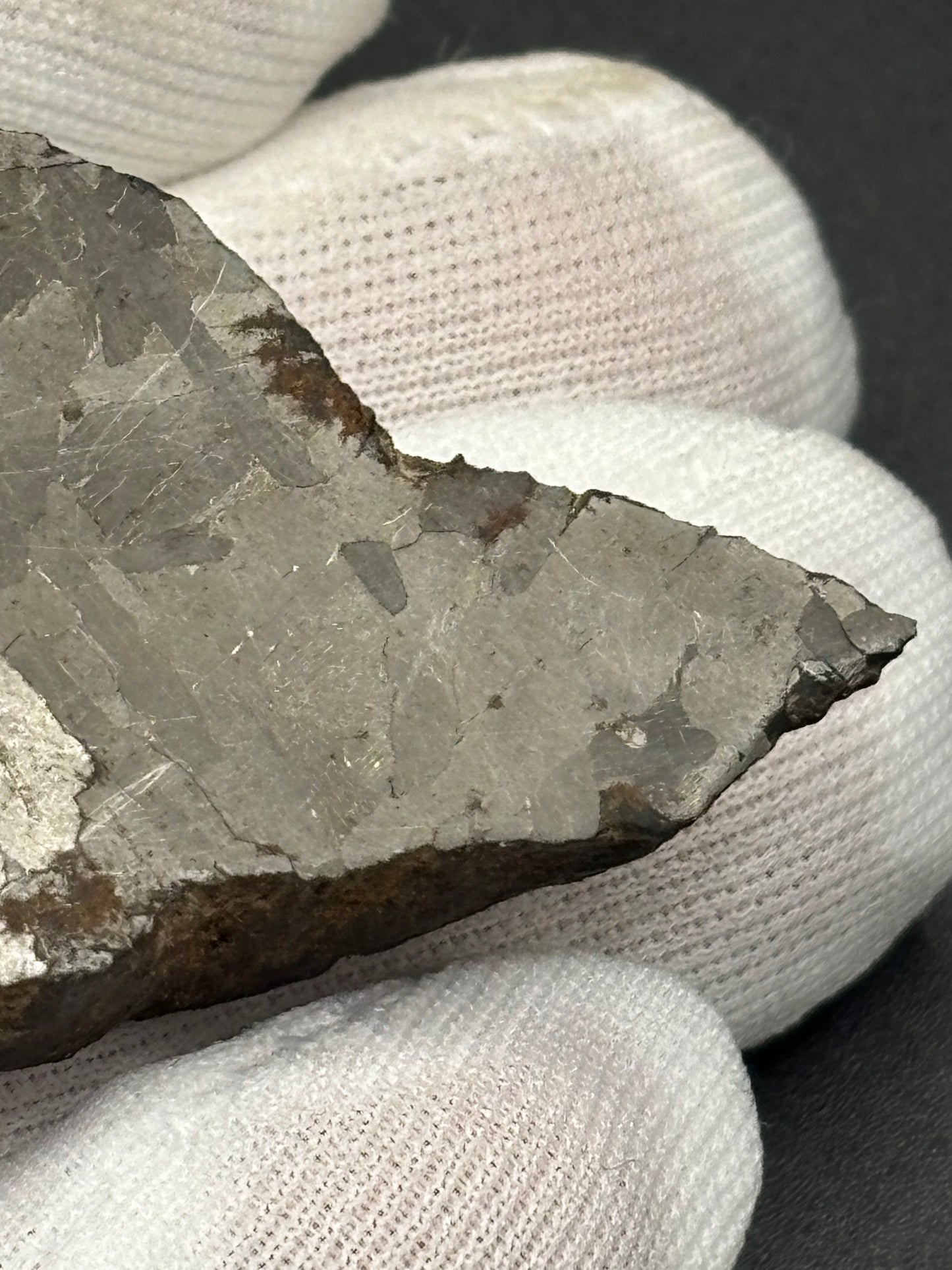 Toluca Iron Meteorite Specimen Historic IAB-sLL Iron Meteorite Mexico Found 1776