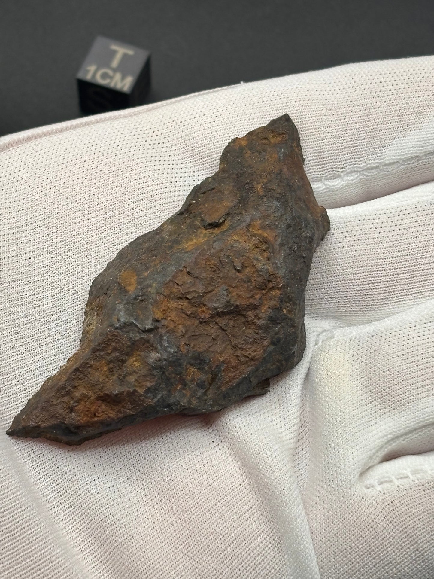 Toluca Iron Meteorite Specimen Historic IAB-sLL Iron Meteorite Mexico Found 1776