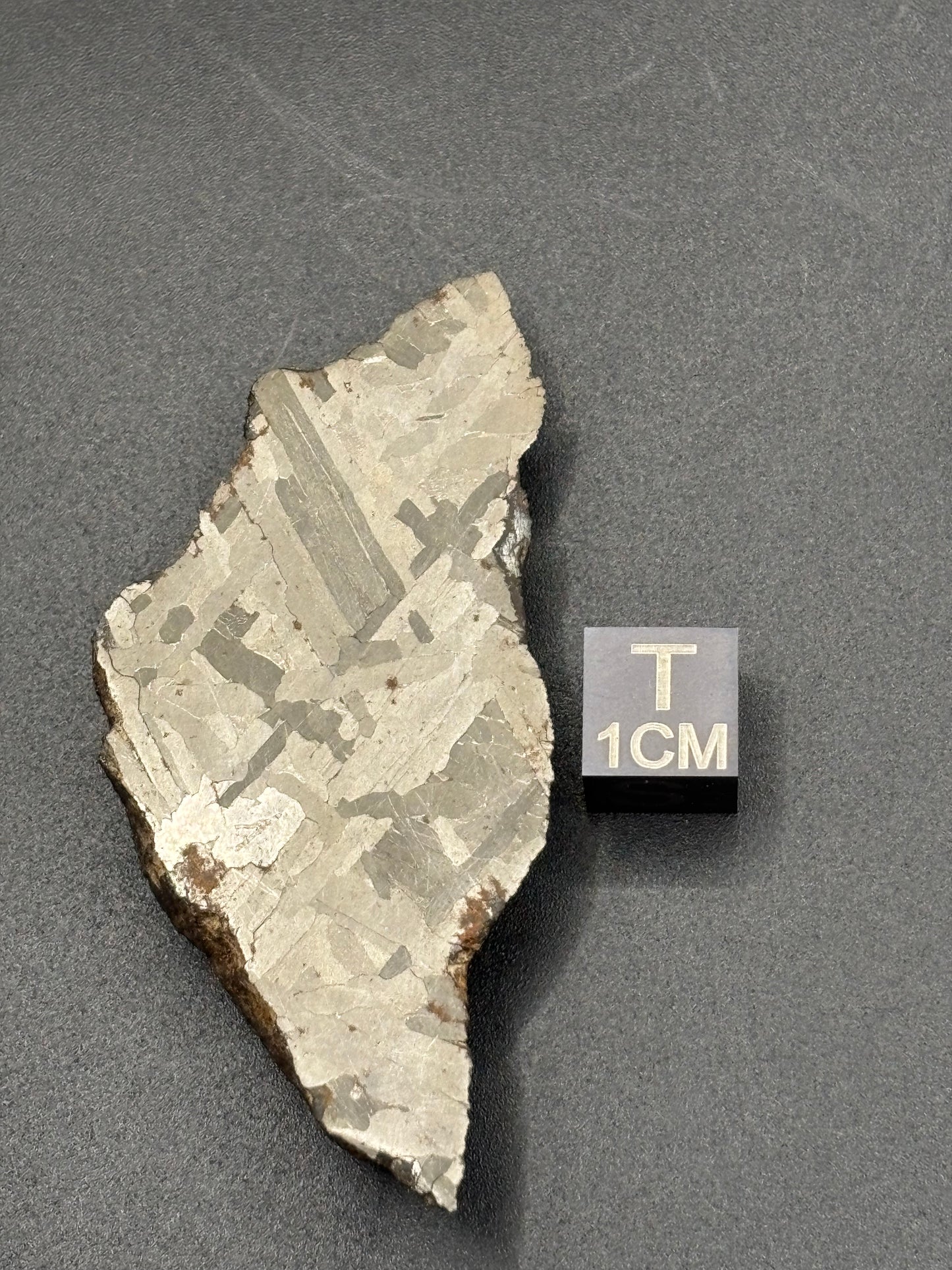 Toluca Iron Meteorite Specimen Historic IAB-sLL Iron Meteorite Mexico Found 1776