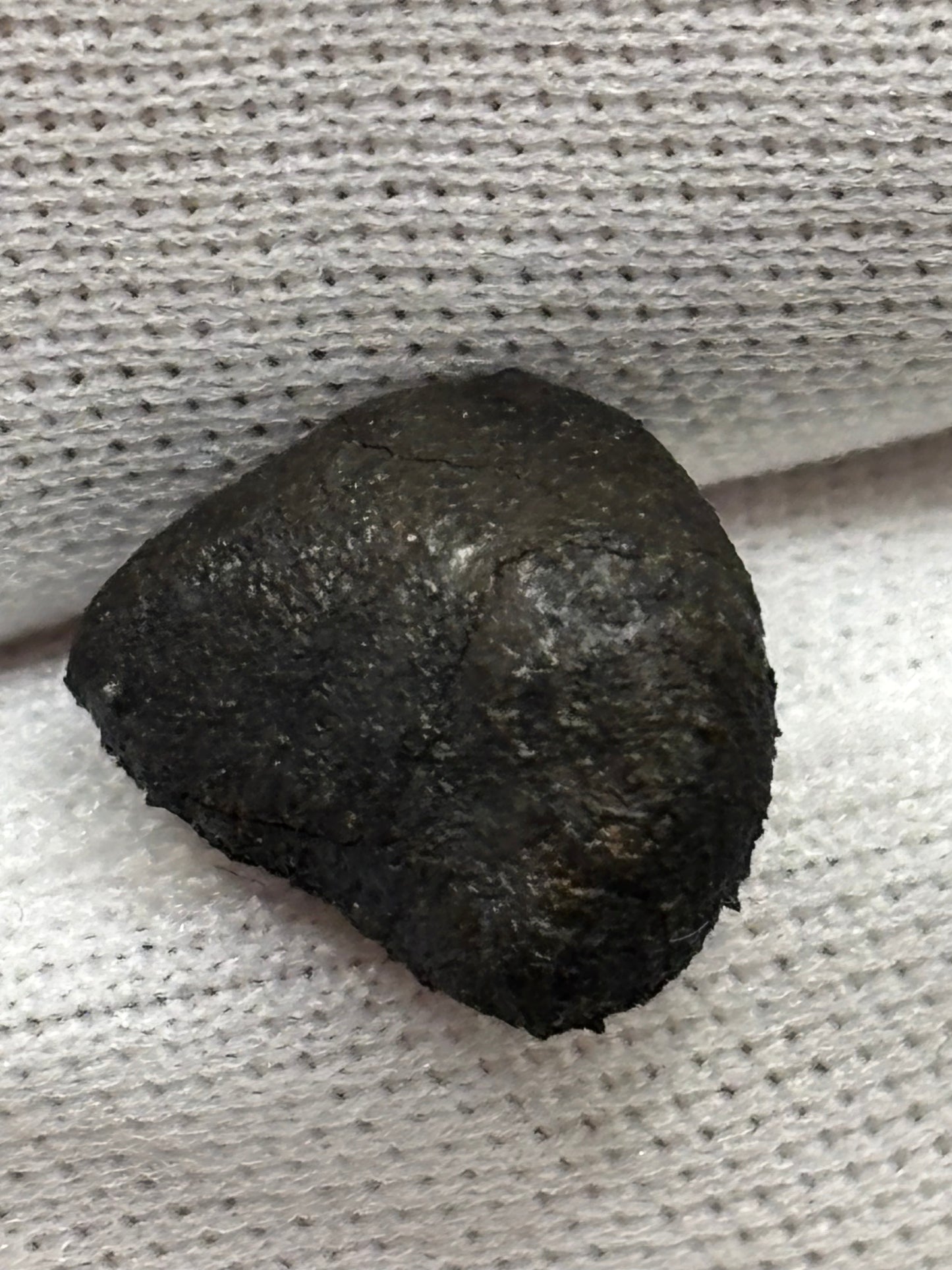 McDonough Meteorite Specimen Historic 2025 Georgia Observed Fall Official L6 Chondrite 100% Crust