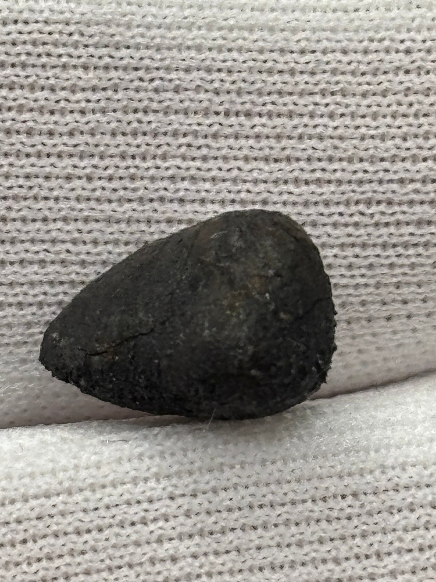 McDonough Meteorite Specimen Historic 2025 Georgia Observed Fall Official L6 Chondrite 100% Crust
