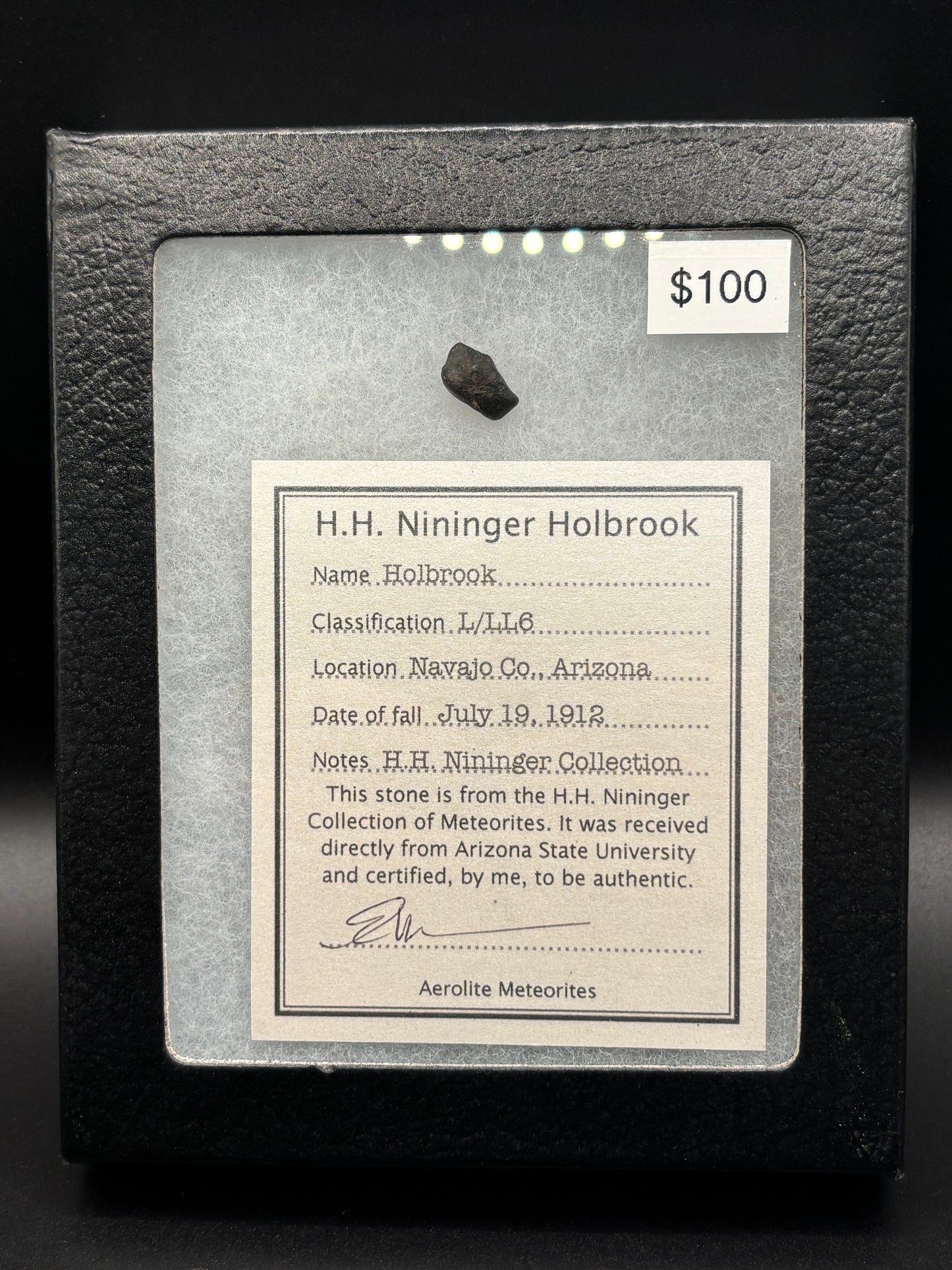 Holbrook Meteorite Nininger Pea Specimen ASU Collection Historic 1912 Arizona Observed Fall L/LL6