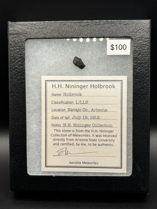 Holbrook Meteorite Nininger Pea Specimen ASU Collection Historic 1912 Arizona Observed Fall L/LL6
