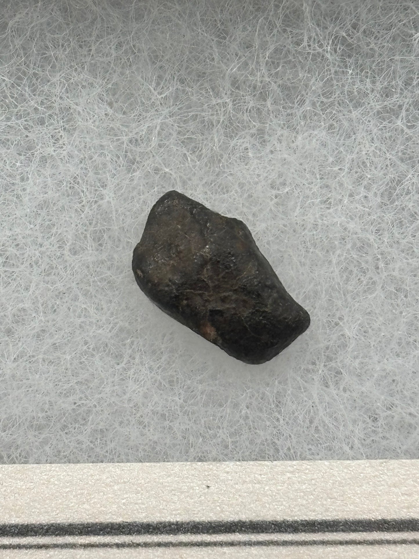 Holbrook Meteorite Nininger Pea Specimen ASU Collection Historic 1912 Arizona Observed Fall L/LL6