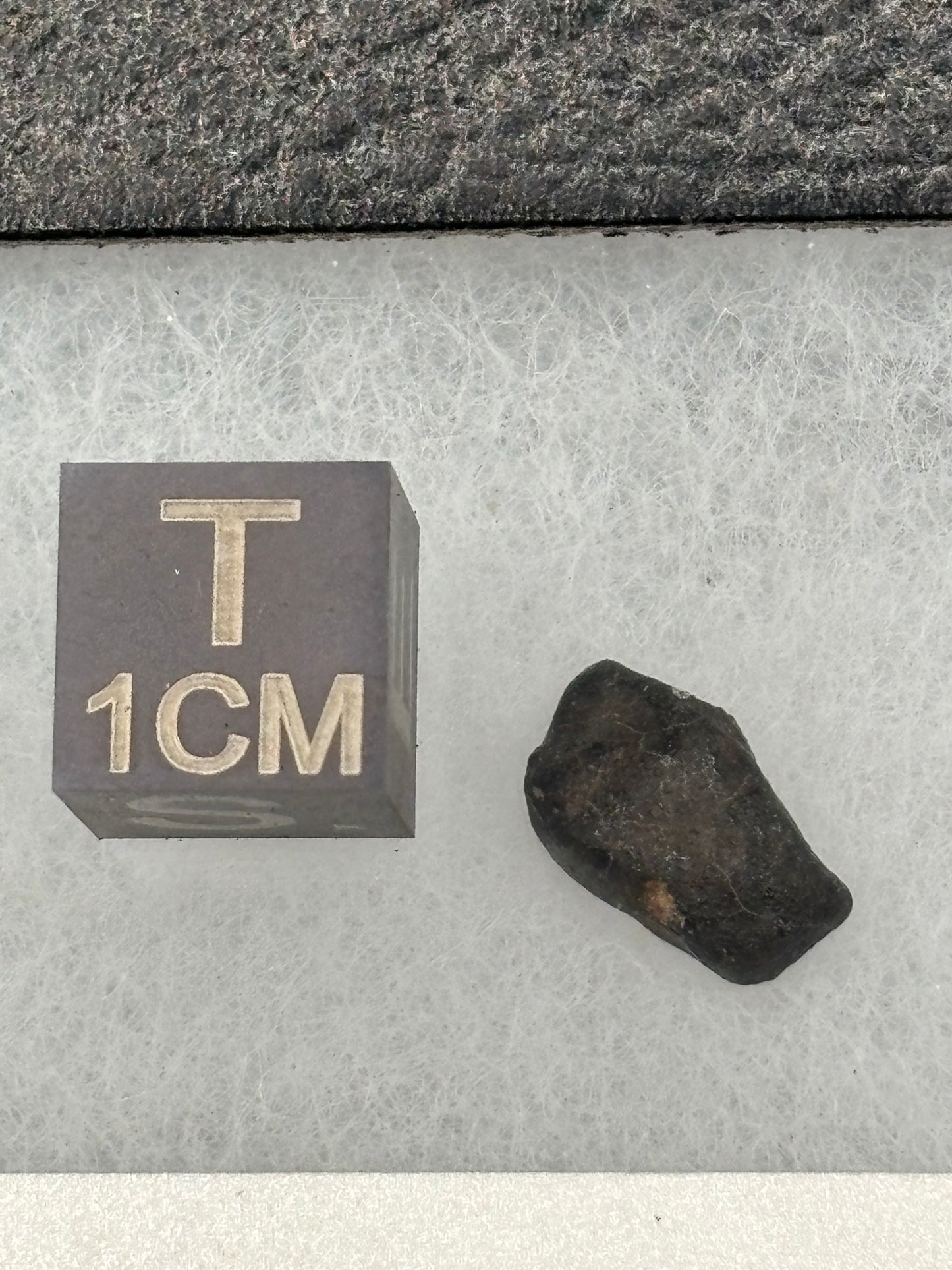 Holbrook Meteorite Nininger Pea Specimen ASU Collection Historic 1912 Arizona Observed Fall L/LL6