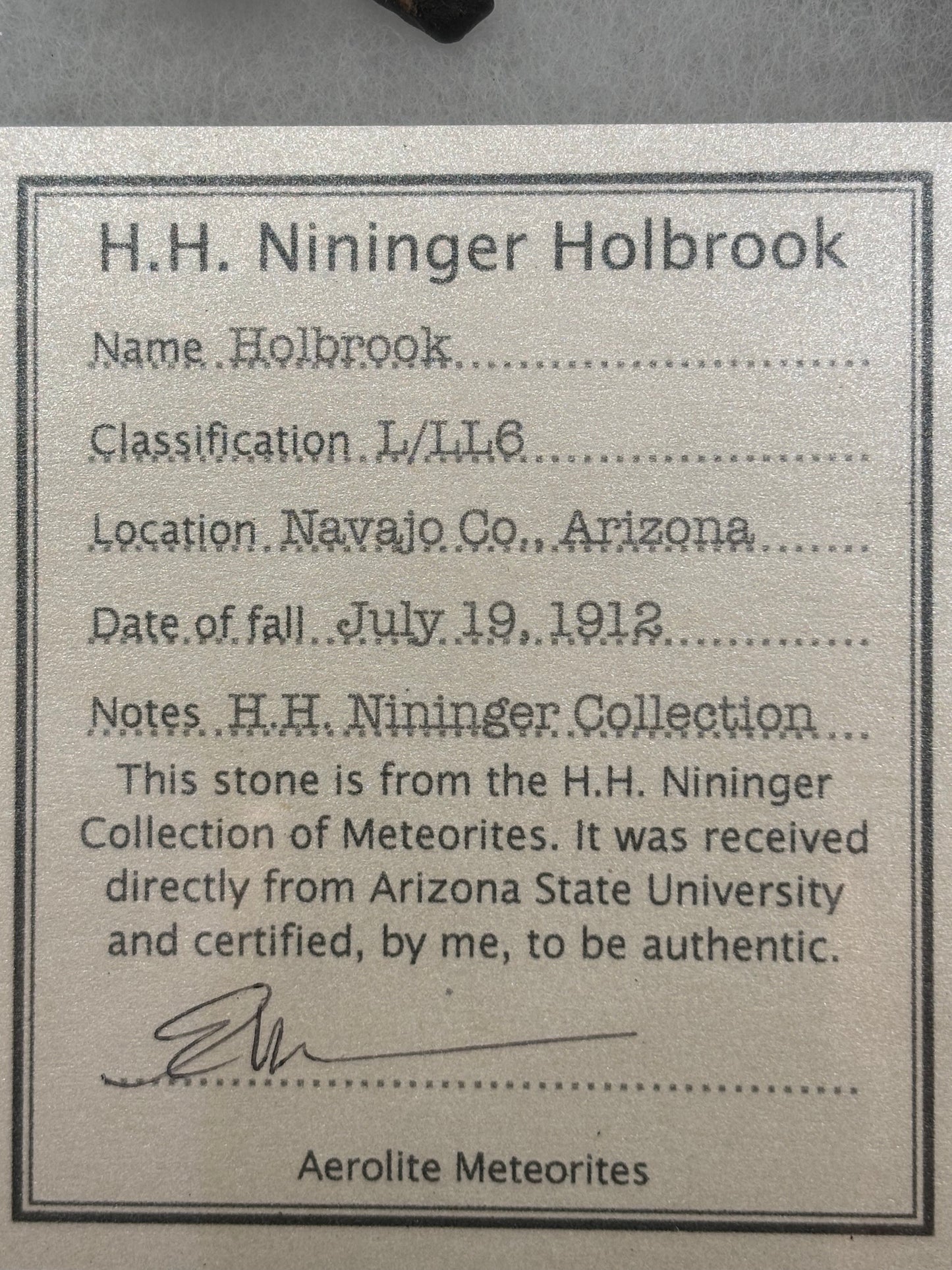 Holbrook Meteorite Nininger Pea Specimen ASU Collection Historic 1912 Arizona Observed Fall L/LL6