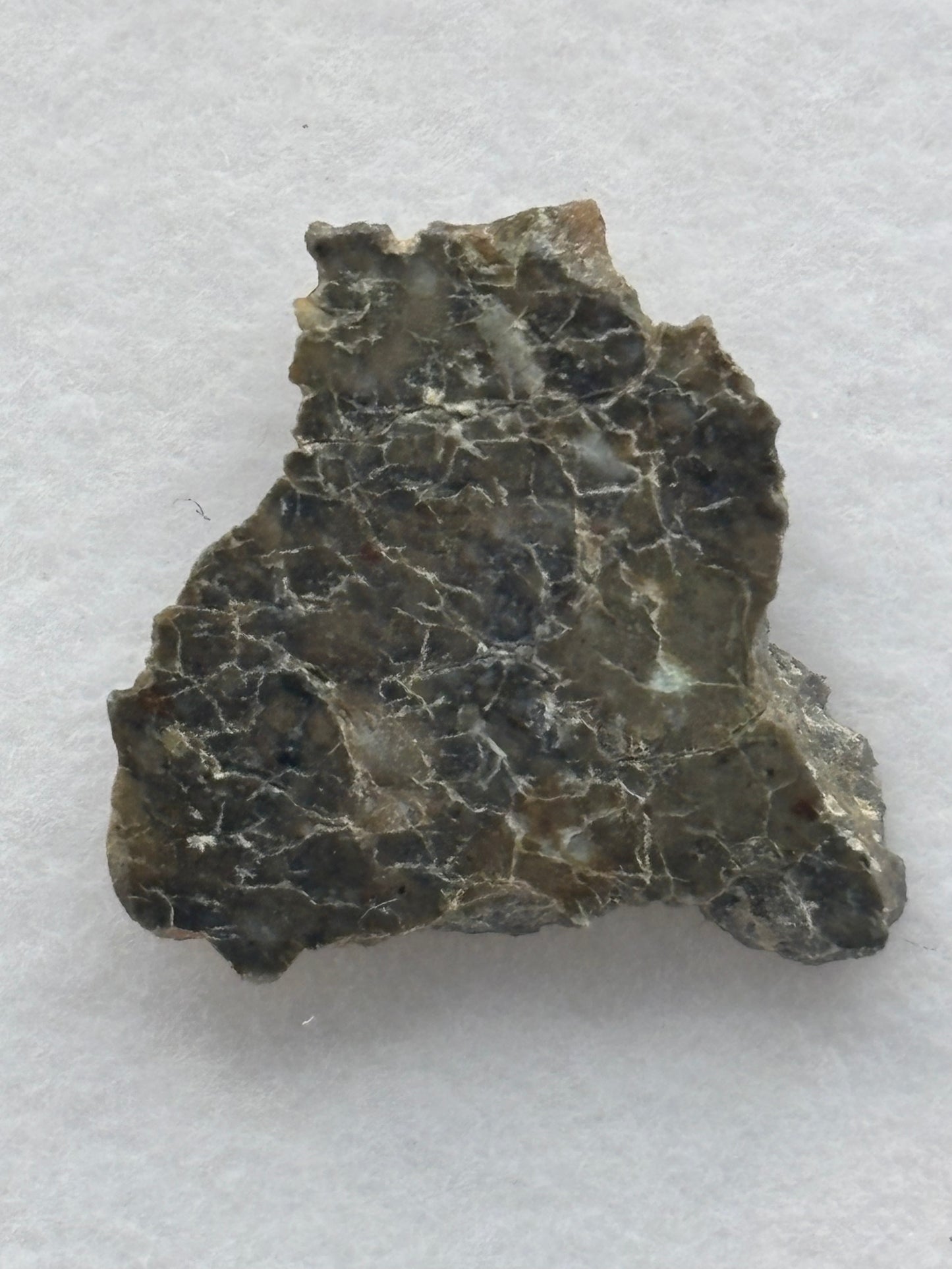 Laâyoune 002 Lunar Meteorite Specimen Official Feldspathic Breccia Moon Meteorite
