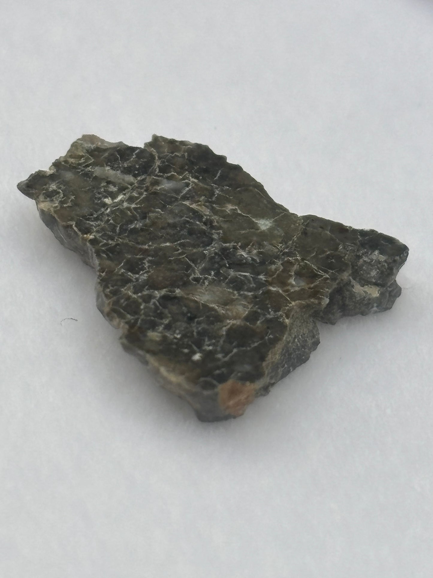 Laâyoune 002 Lunar Meteorite Specimen Official Feldspathic Breccia Moon Meteorite