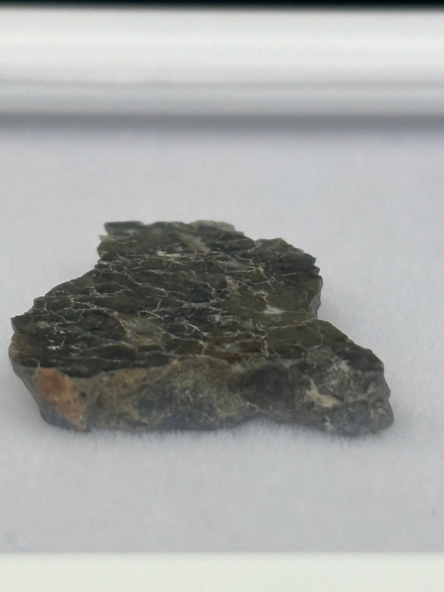 Laâyoune 002 Lunar Meteorite Specimen Official Feldspathic Breccia Moon Meteorite