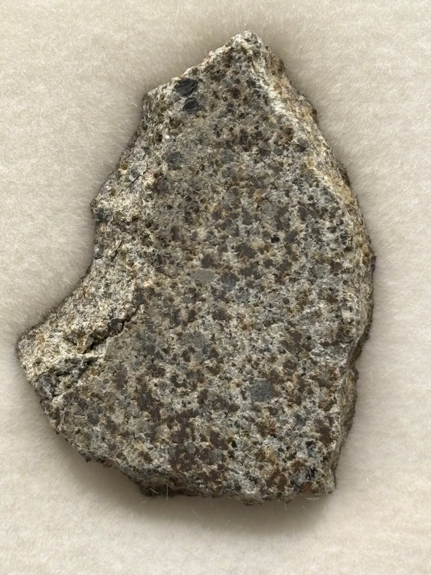 El Hammami Meteorite Specimen Official H5 Chondrite Mauritania Meteorite Historic Desert Find