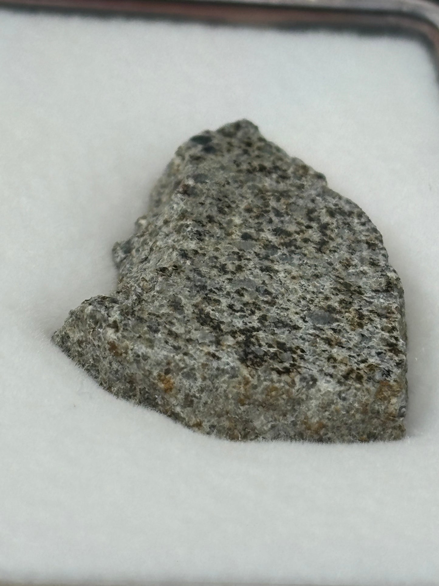 El Hammami Meteorite Specimen Official H5 Chondrite Mauritania Meteorite Historic Desert Find